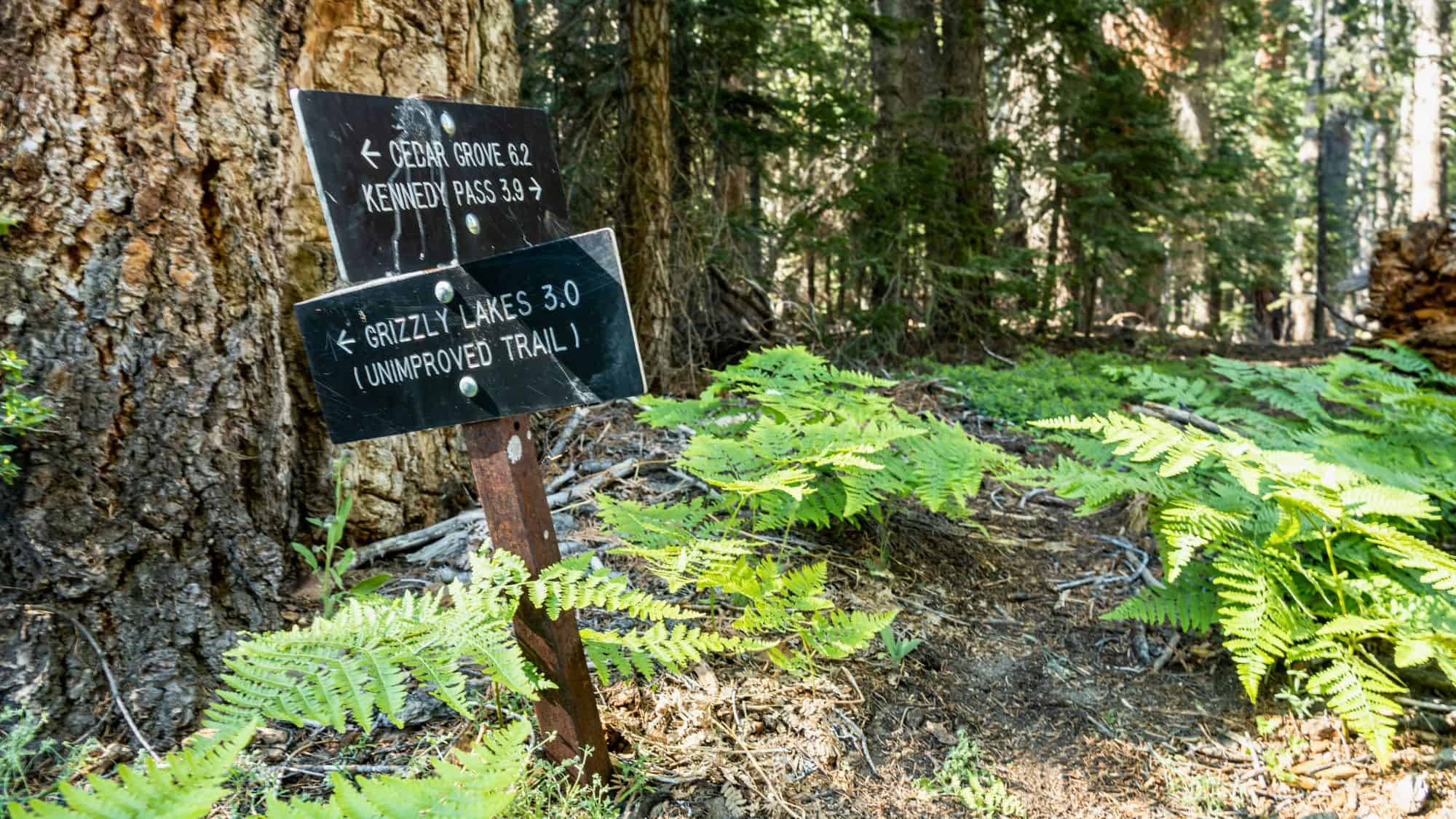 Grizzly Lakes Trail Sign In Forest in Kings Canyon National Park