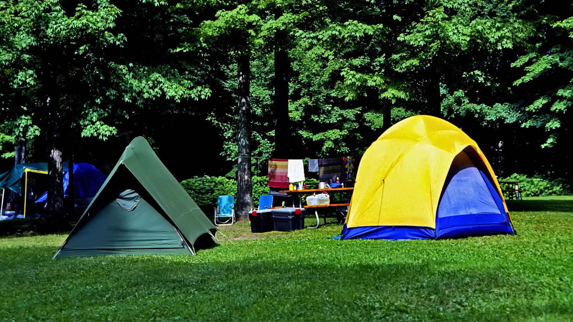 Two tents—a green triangular one and a bright yellow dome tent—sit on a lush green grassy area in a wooded campground. A picnic table with supplies and colorful towels drying on a line suggest an active campsite.