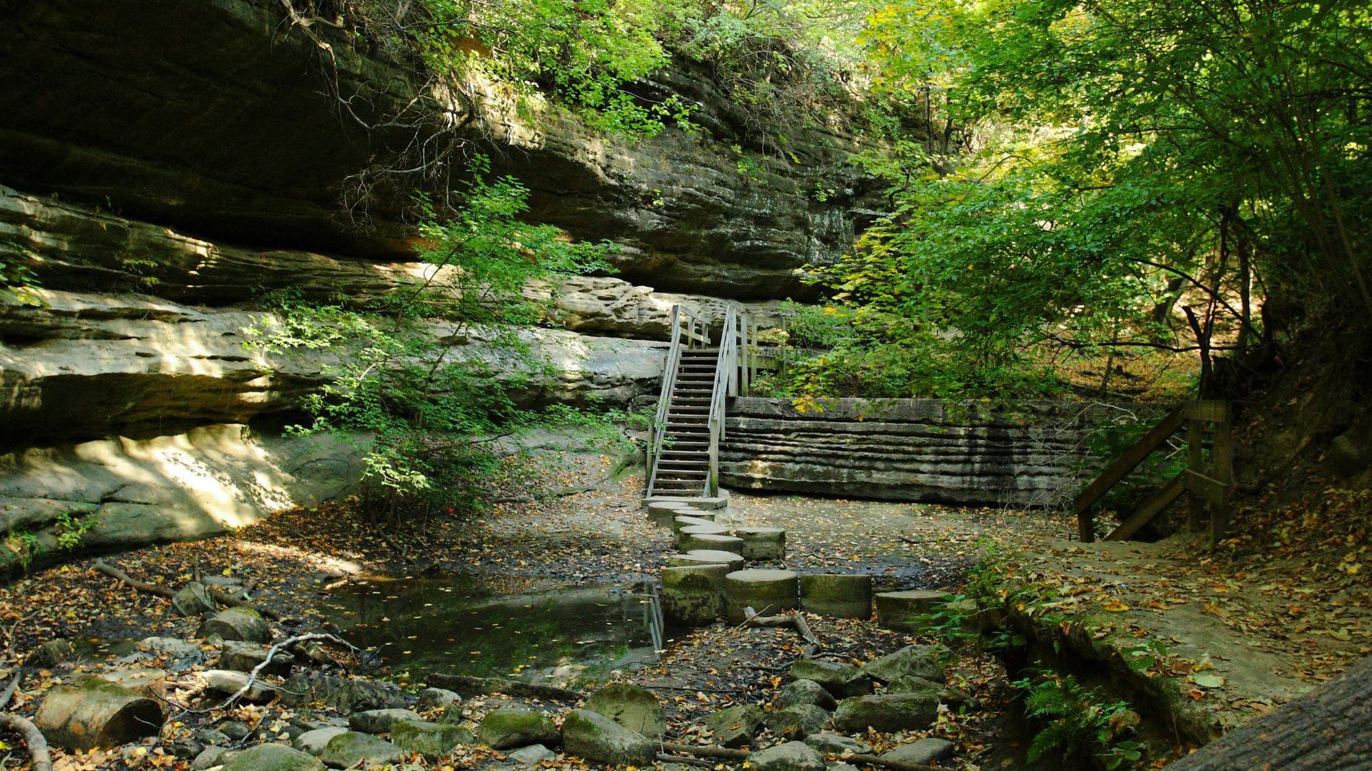 Wooden stairs and a footpath of circular stepping stones lead through a secluded sandstone canyon surrounded by lush green trees and rocky ledges.