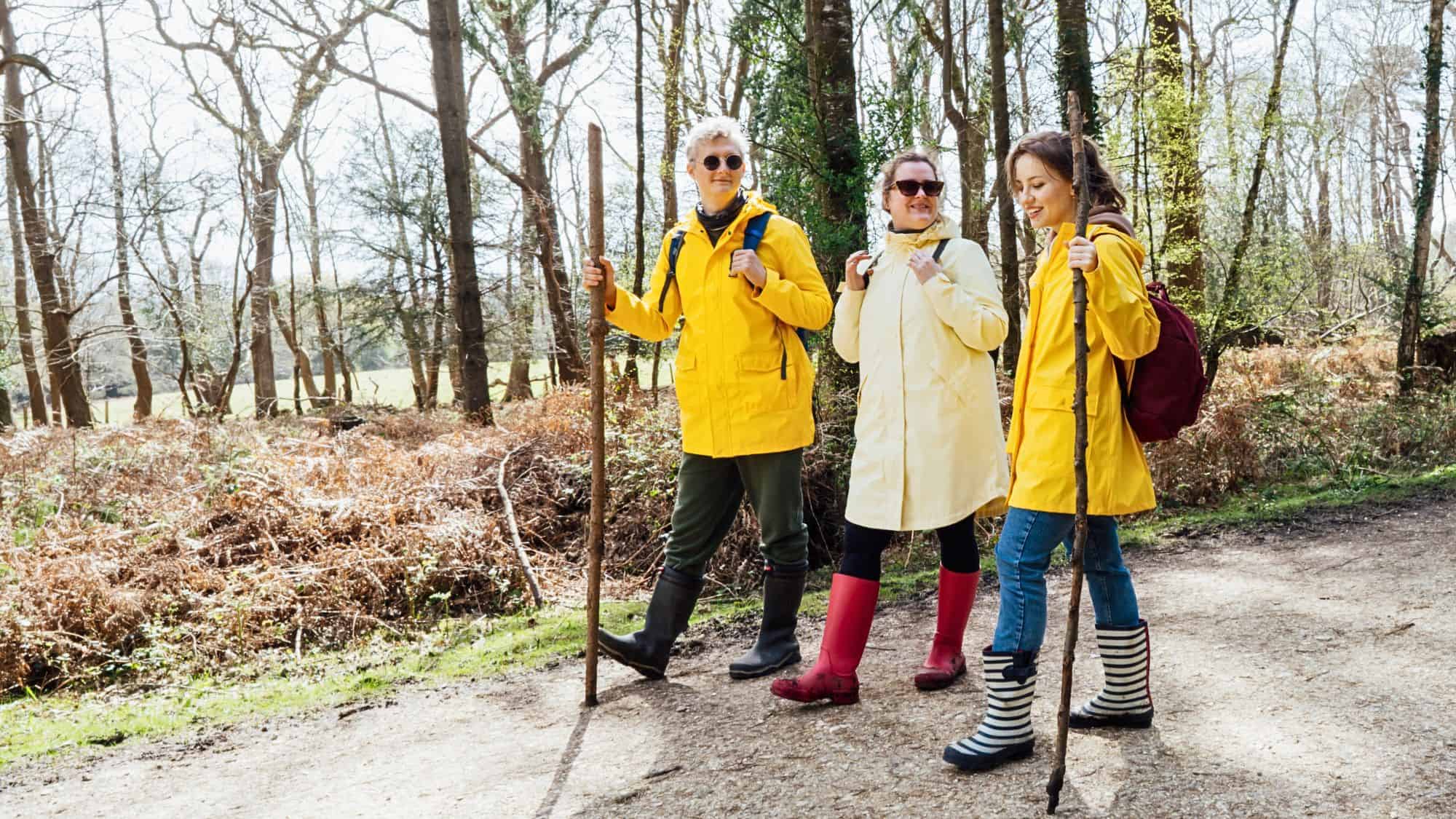 Three women dressed in yellow raincoats, rubber boots, and sunglasses walk through a forest trail with hiking sticks, well-prepared for muddy conditions.