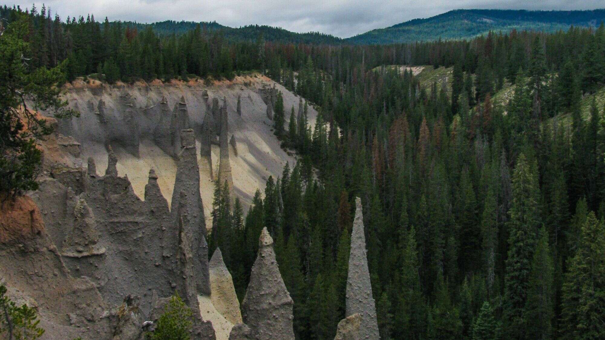 Jagged gray volcanic spires rise from a deep ravine surrounded by a dense conifer forest at the Pinnacles area of Crater Lake National Park.