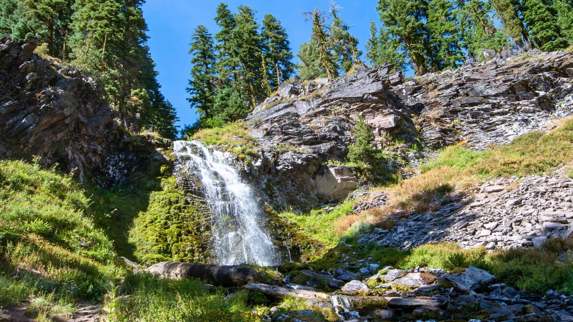 Plaikni Falls cascades down a mossy rock face surrounded by bright green ferns and shaded by tall evergreens under a clear blue sky.
