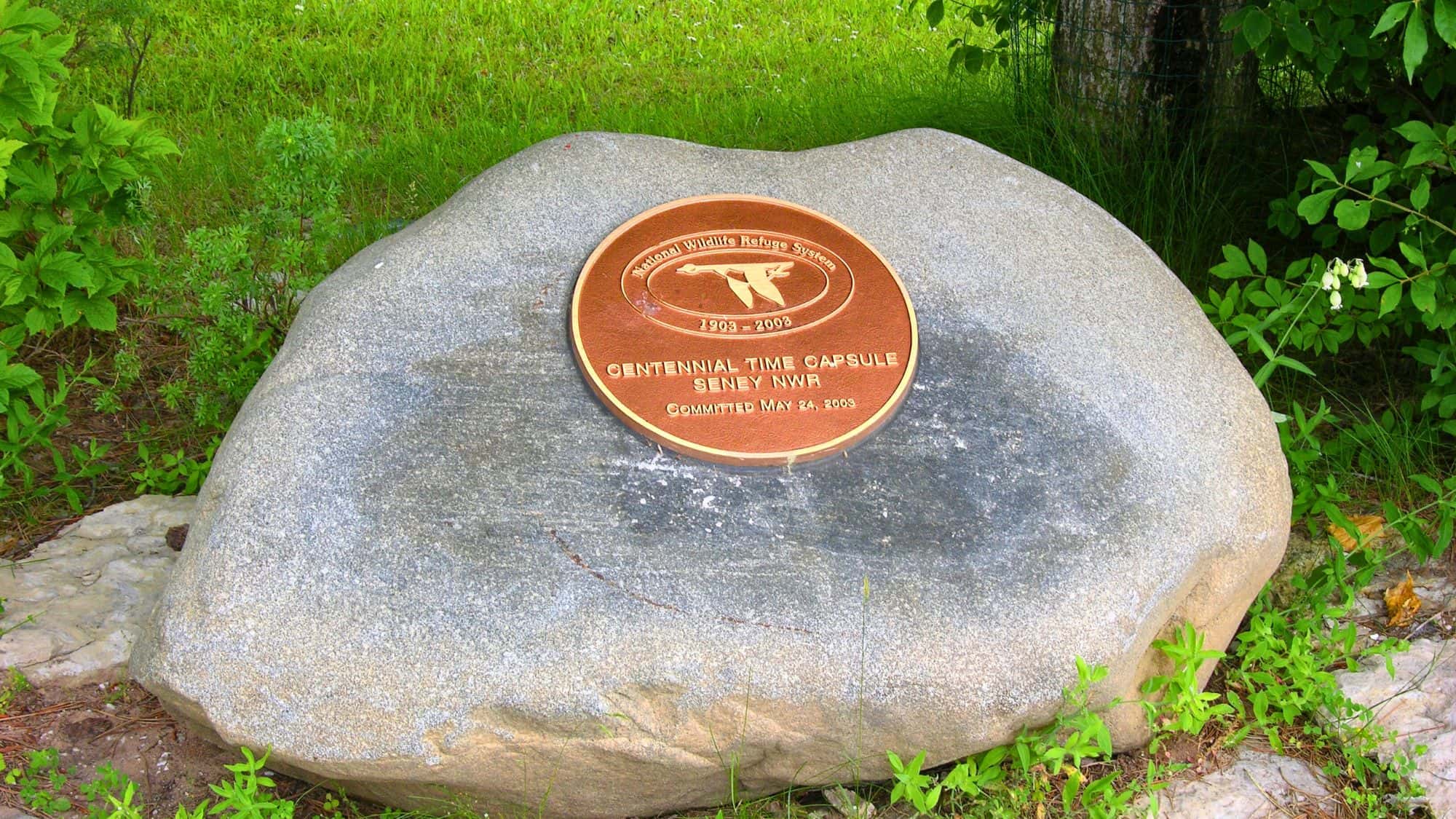 A bronze plaque reading “Centennial Time Capsule Seney NWR, Committed May 24, 2003” is mounted on a smooth stone surrounded by lush grass and greenery.