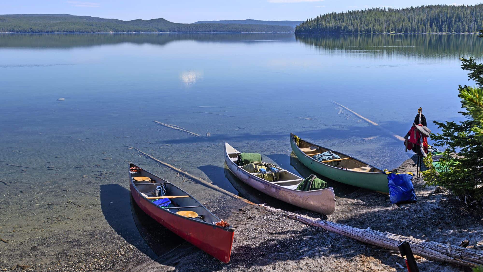 Three colorful canoes are lined up along the pebbled shore of Shoshone Lake, with calm, crystal-clear waters and dense forest in the distance.