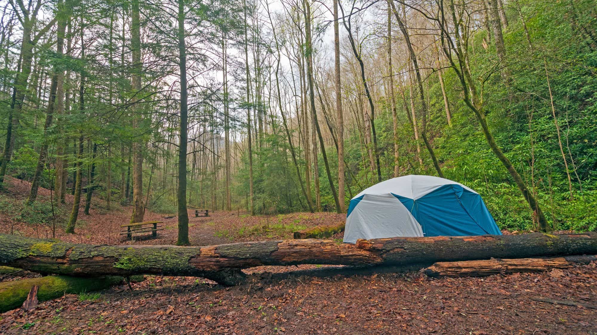 A blue and gray dome tent is set up in a misty forest clearing, surrounded by tall trees and fallen logs, with picnic benches in the background.