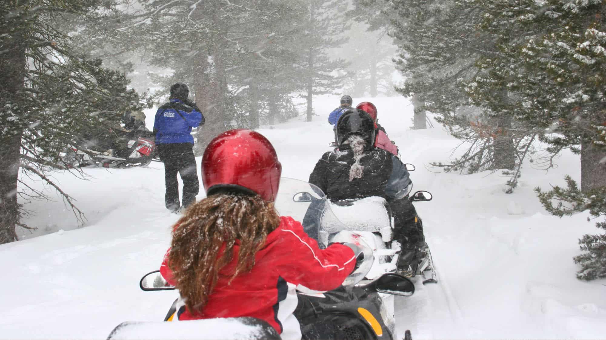 A group of people on snowmobiles rides through a snowy forest as snow falls around them. Riders are bundled up in helmets and winter jackets while navigating the powder-covered trail.