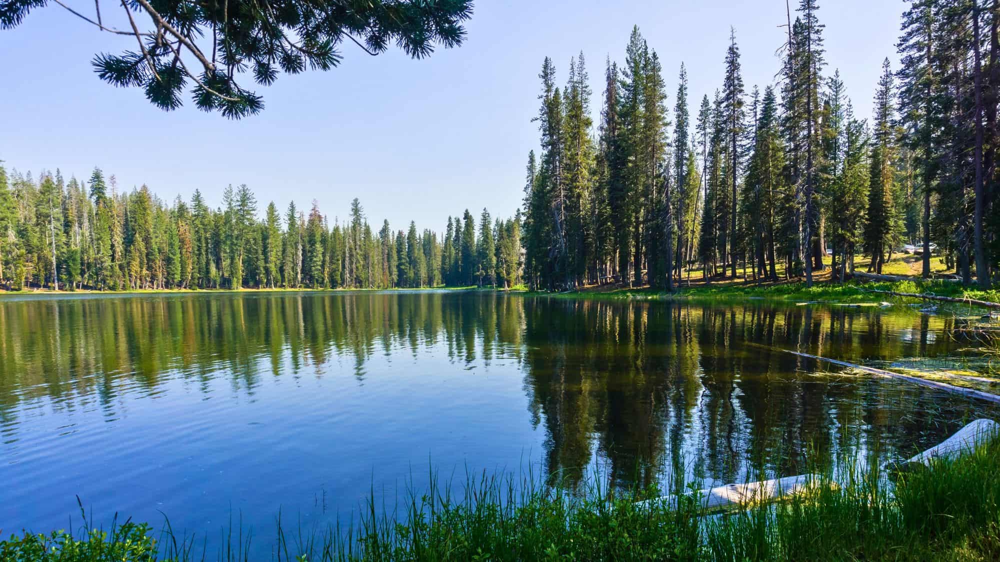 A peaceful scene at Summit Lake, where a forest of tall evergreen trees is reflected in the calm, glassy water under a bright, clear sky.