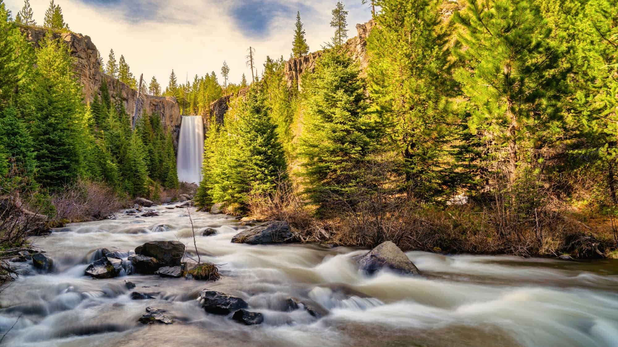 A wide view of Tumalo Falls streaming down a cliff into a river surrounded by evergreens. The water in the river rushes over smooth rocks, creating a soft, misty effect under golden sunlight.