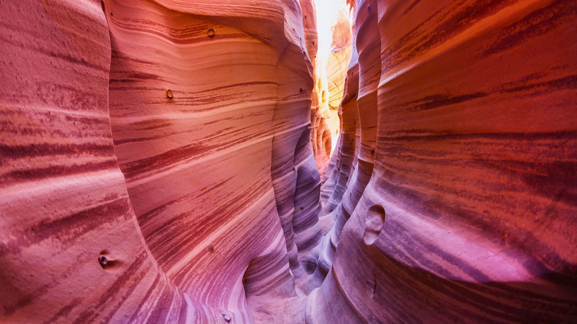 A narrow passage winds through Zebra Slot Canyon’s swirling sandstone walls, colored in rich pinks and purples. The smooth curves and layers of the canyon create a surreal, abstract effect.