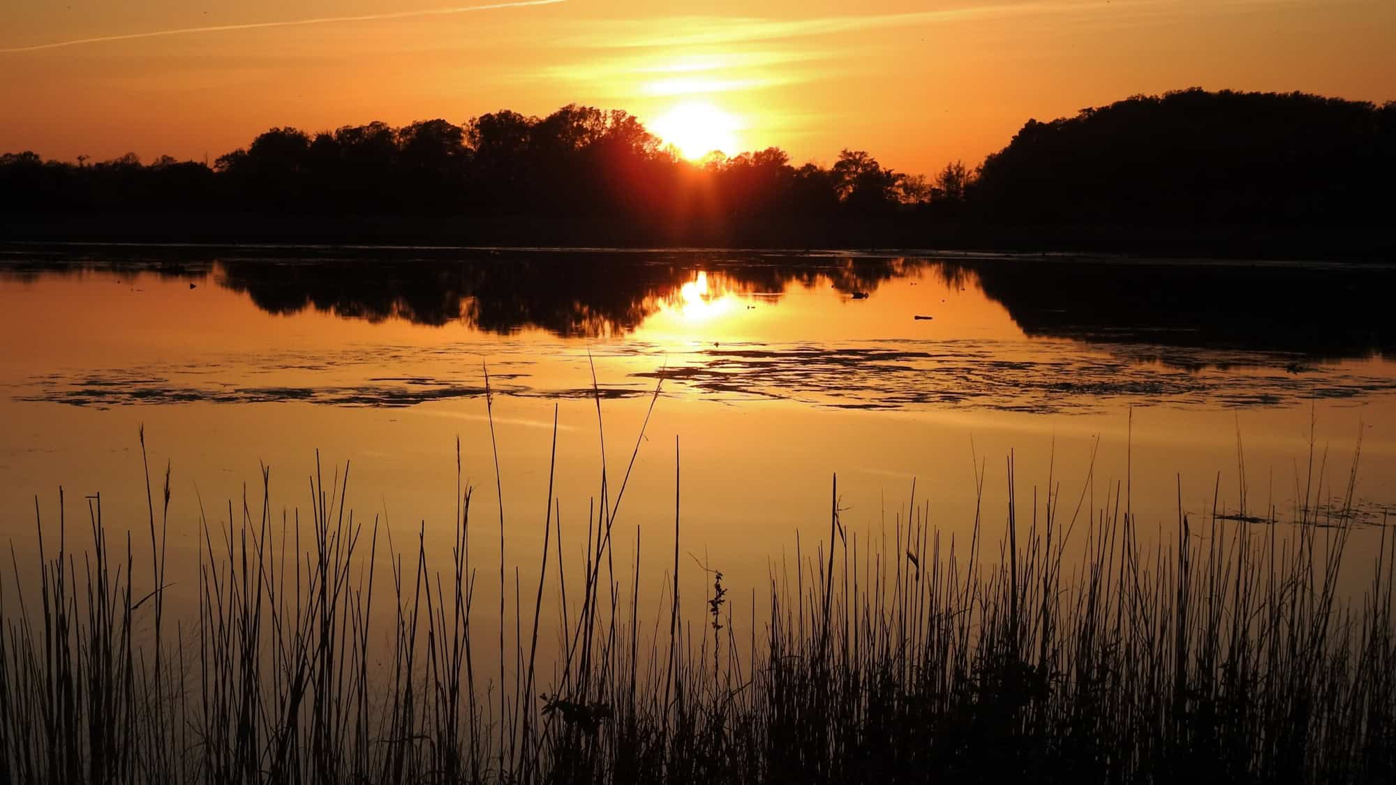 The sun sets behind a tree line at Bombay Hook National Wildlife Refuge, casting a warm orange glow over the still water and silhouetted marsh grasses in the foreground.