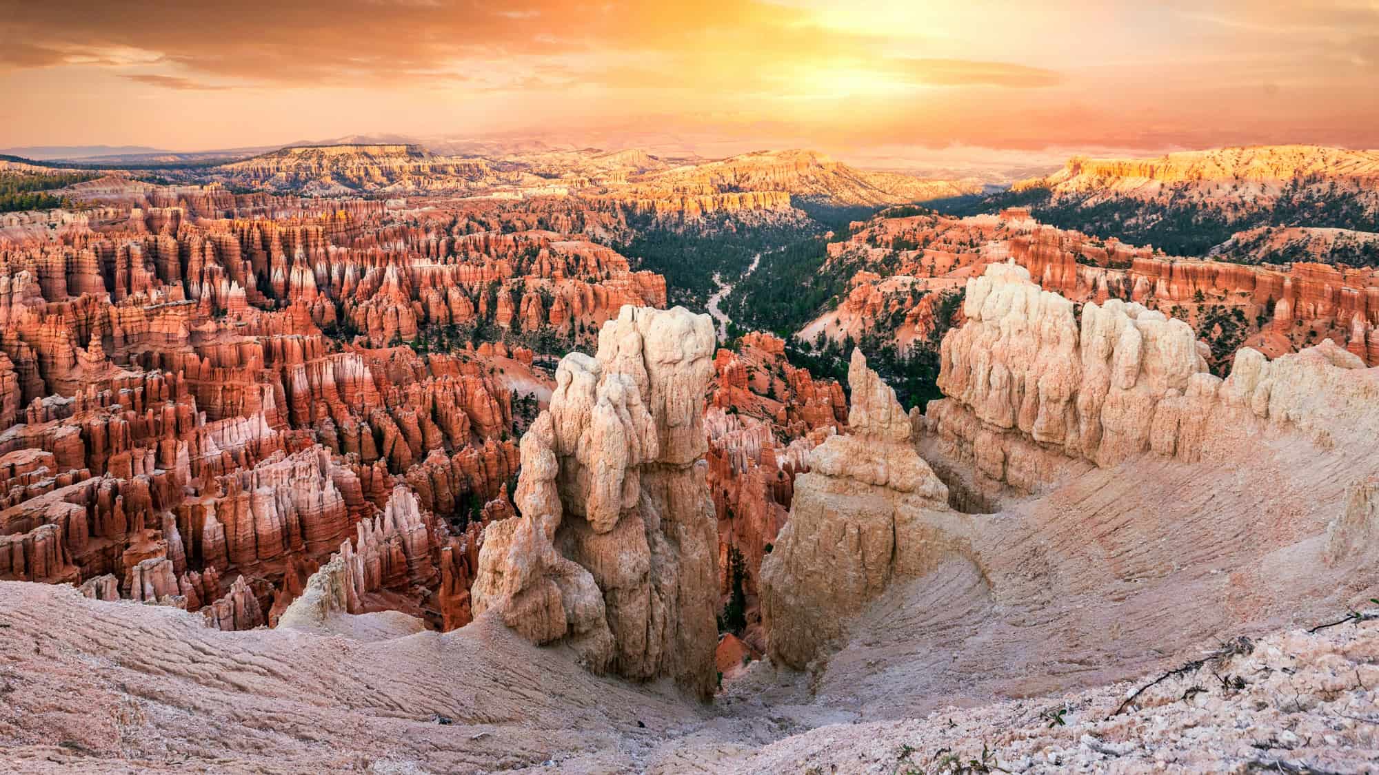 Bryce Canyon’s iconic orange and white hoodoos fill the landscape as the rising sun casts warm golden light across the spire-filled amphitheater.