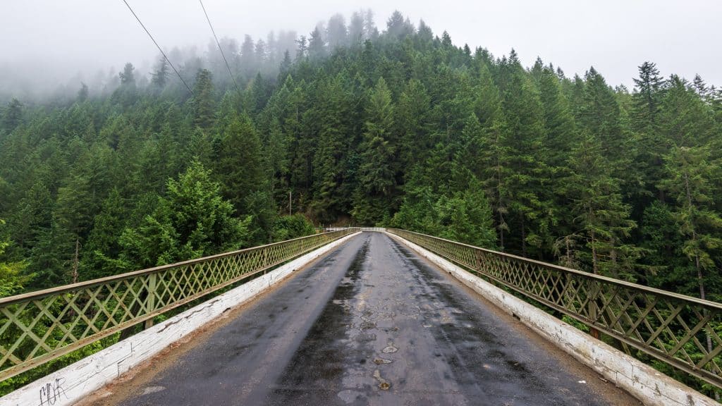 A straight-on view from atop the Fairfax Bridge, looking down a misty, wet road surrounded by towering evergreen trees under a foggy sky.
