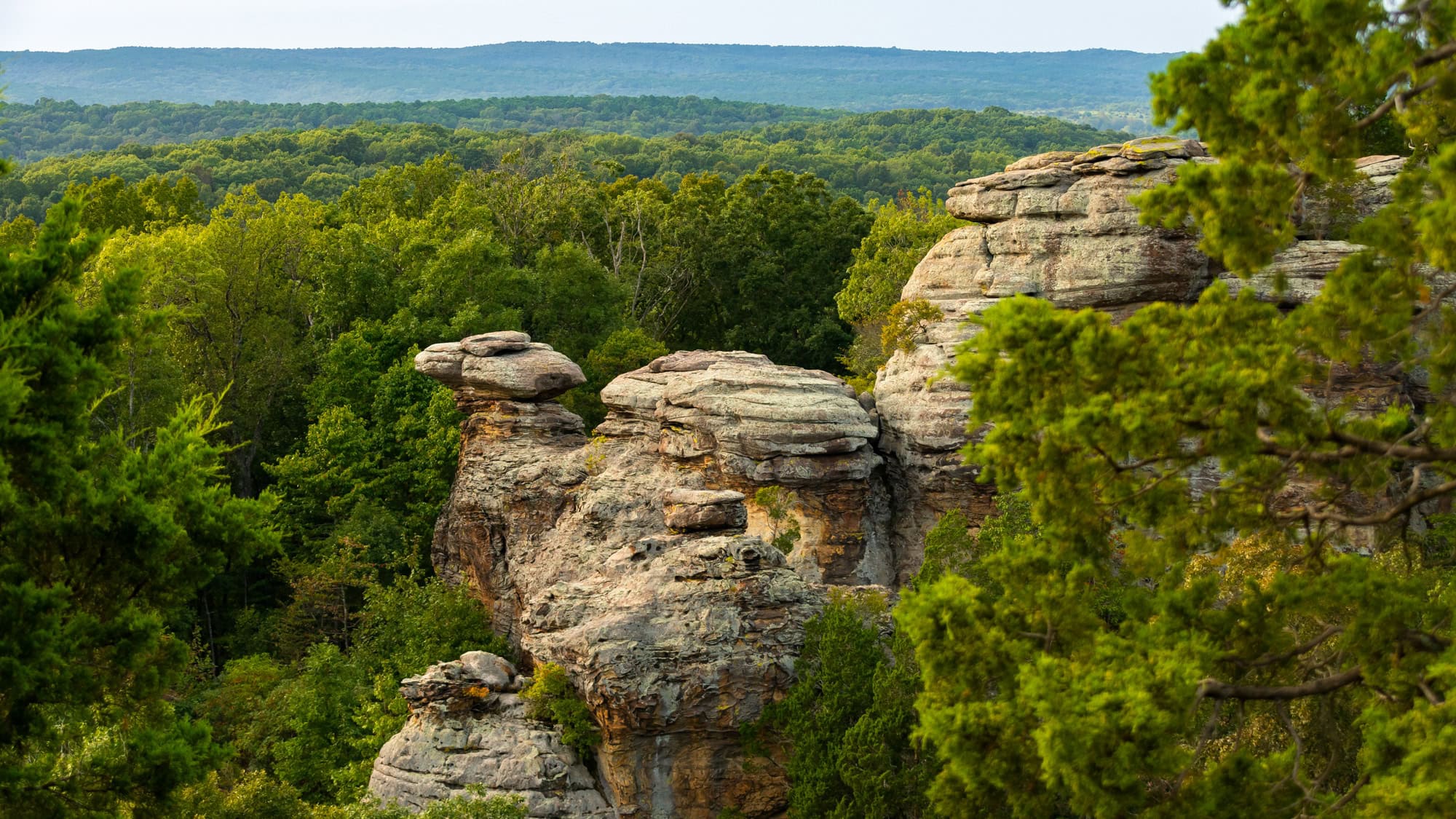 Towering sandstone rock formations rise above the forest canopy in Shawnee National Forest, with rounded boulders and weathered cliffs framed by dense greenery.