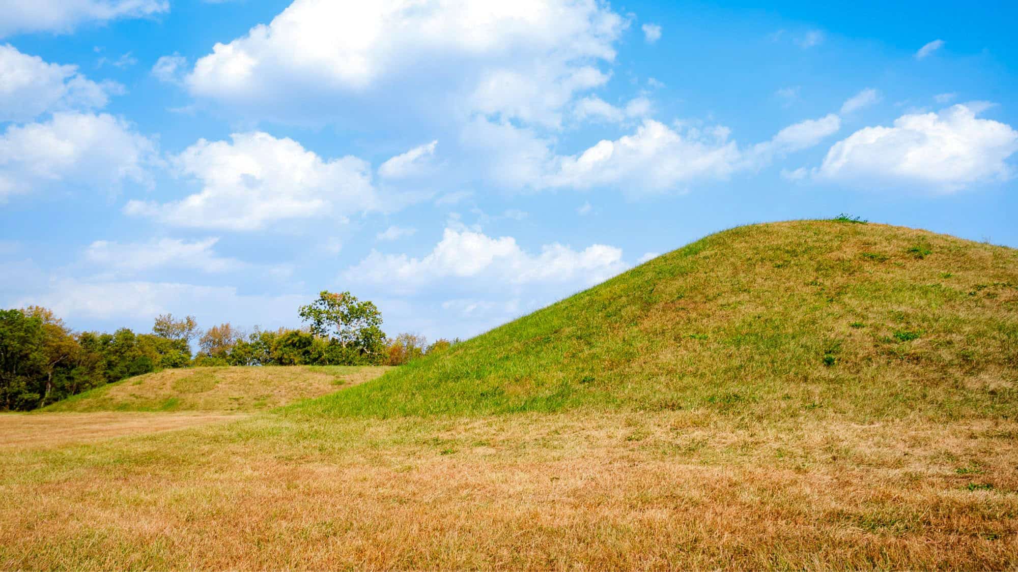 Gently sloping, grassy mounds rise in an open field surrounded by trees. These ancient earthworks are part of the Hopewell Culture National Historical Park.