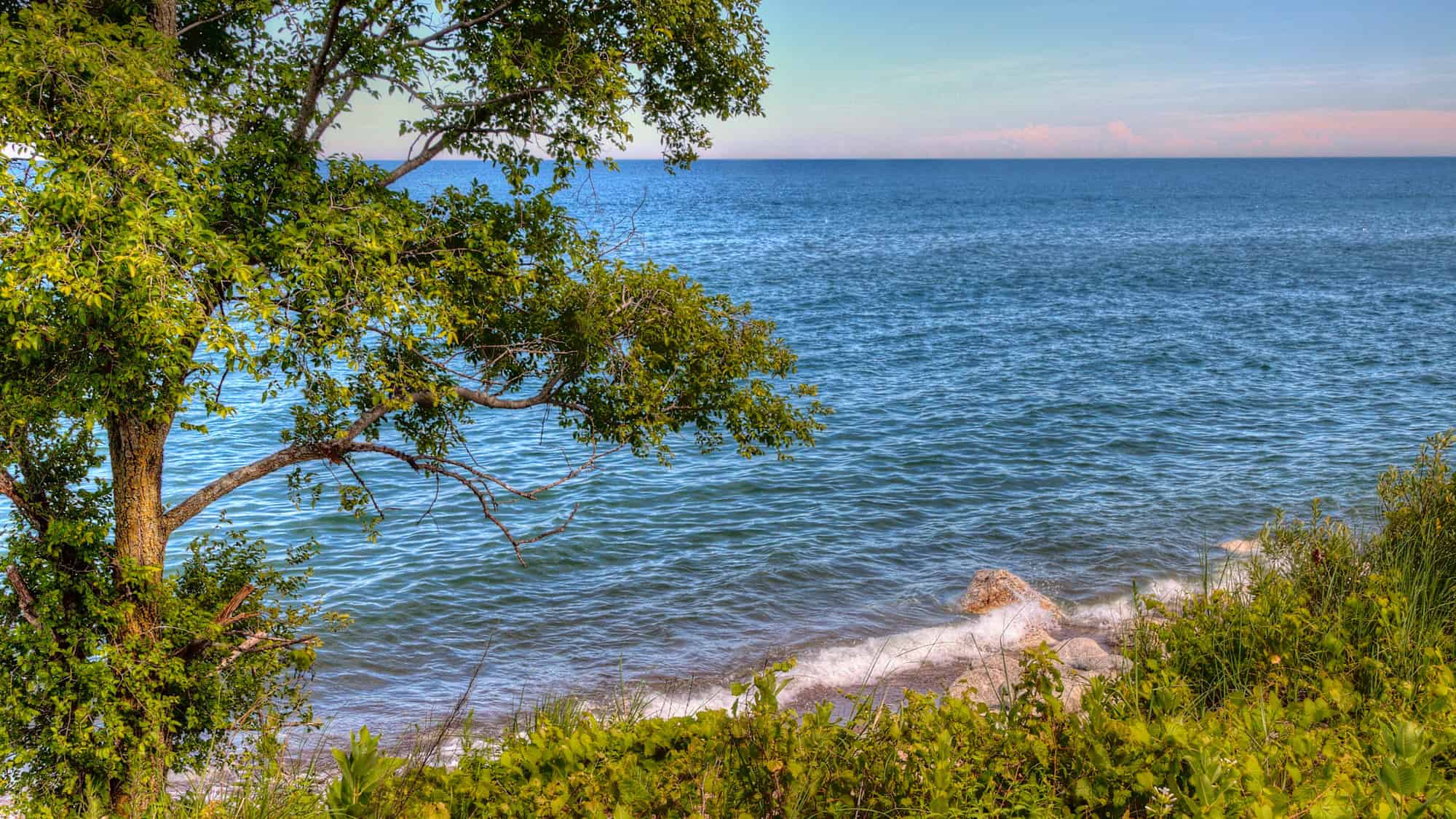 A peaceful stretch of Lake Michigan’s shoreline bordered by green foliage and a lone tree, with gentle waves meeting a rocky, sandy beach under a clear sky.