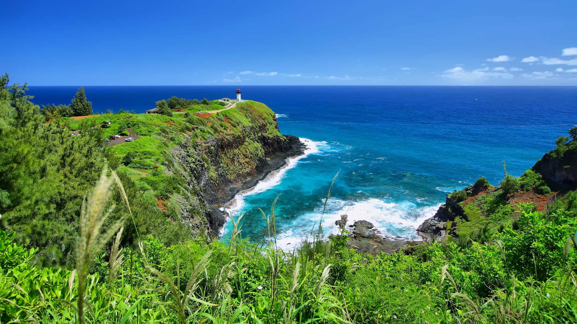 The white Kilauea Point Lighthouse stands atop a dramatic, lush green cliff overlooking the bright turquoise waters of the Pacific Ocean on Kauai, Hawaii.