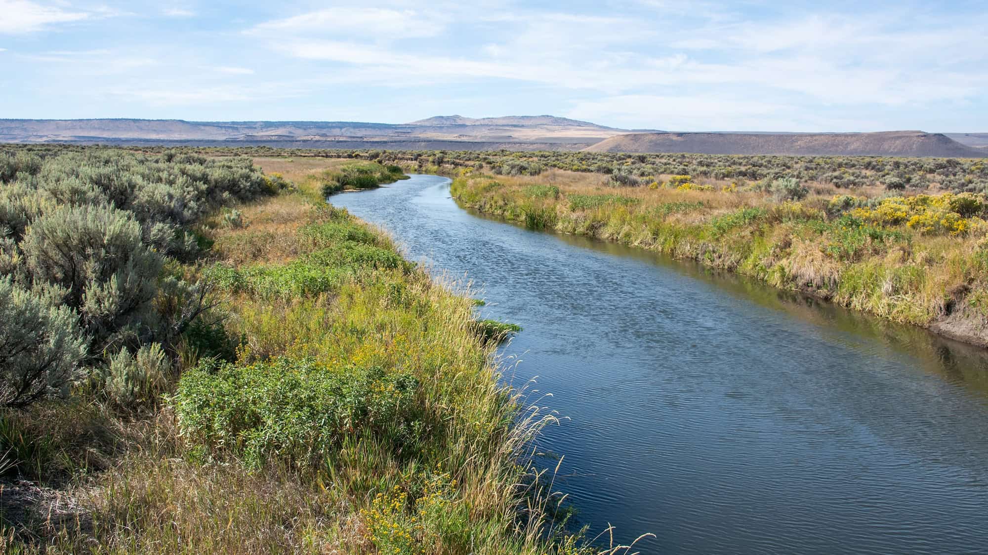A calm, winding river snakes through the high desert landscape of Malheur National Wildlife Refuge, flanked by sagebrush and yellow wildflowers beneath a clear sky.