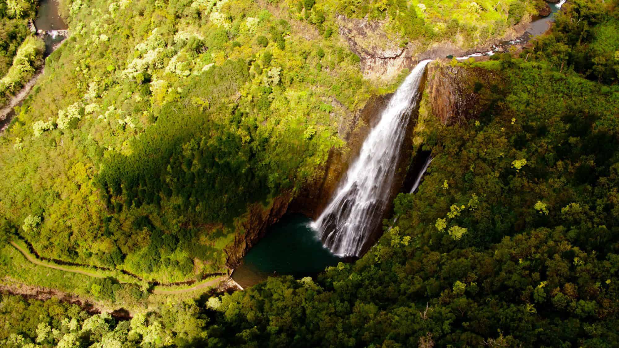 Aerial view of a waterfall pouring down a steep cliff into a deep green pool, hidden in the dense rainforest of Kauai.