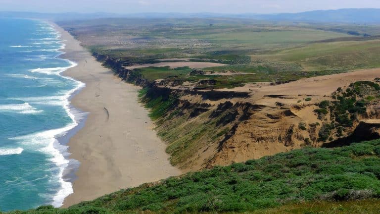 Dramatic coastal cliffs at Point Reyes National Seashore tower above a long stretch of sandy beach, with rolling green hills inland and waves breaking in rhythmic lines along the shoreline.