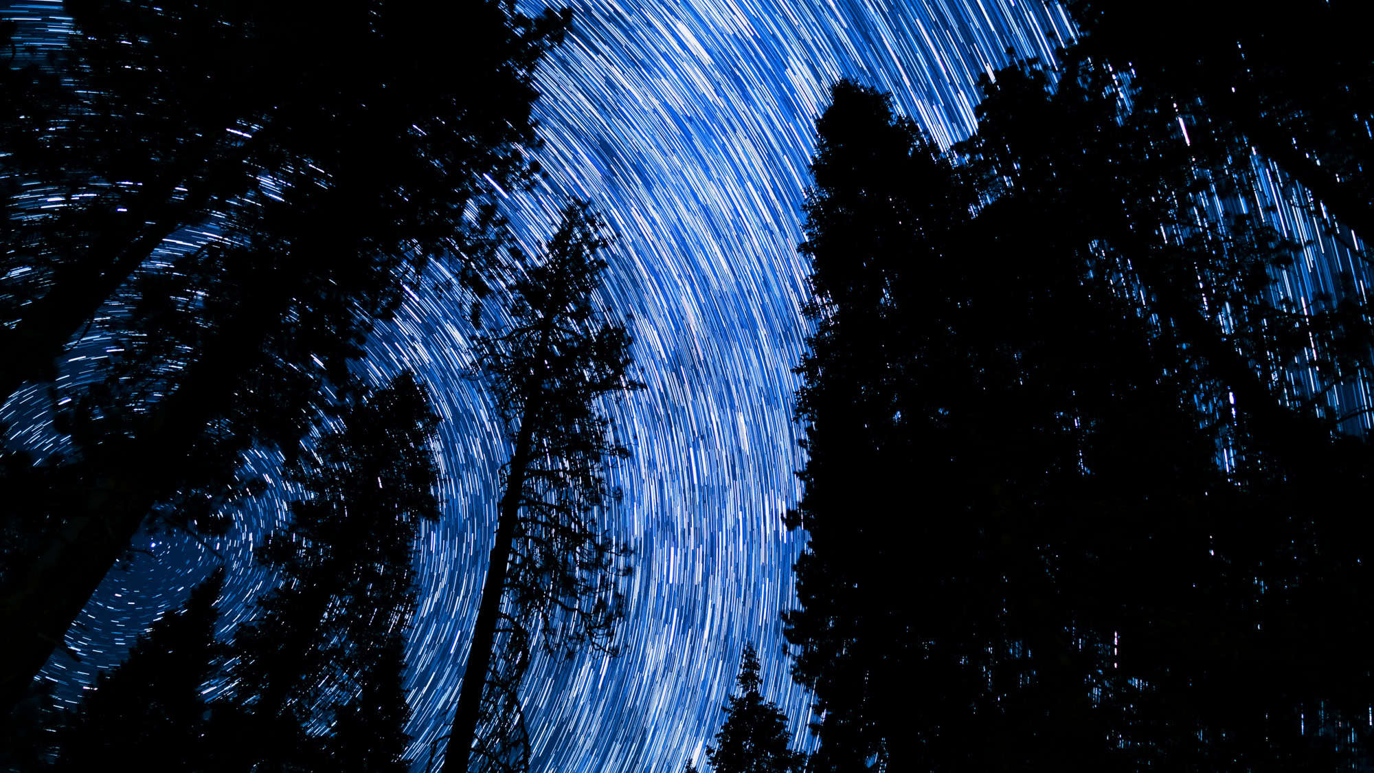 A long exposure night shot reveals swirling star trails above tall, dark silhouettes of sequoia trees in the forest, capturing the magic of stargazing under clear skies.