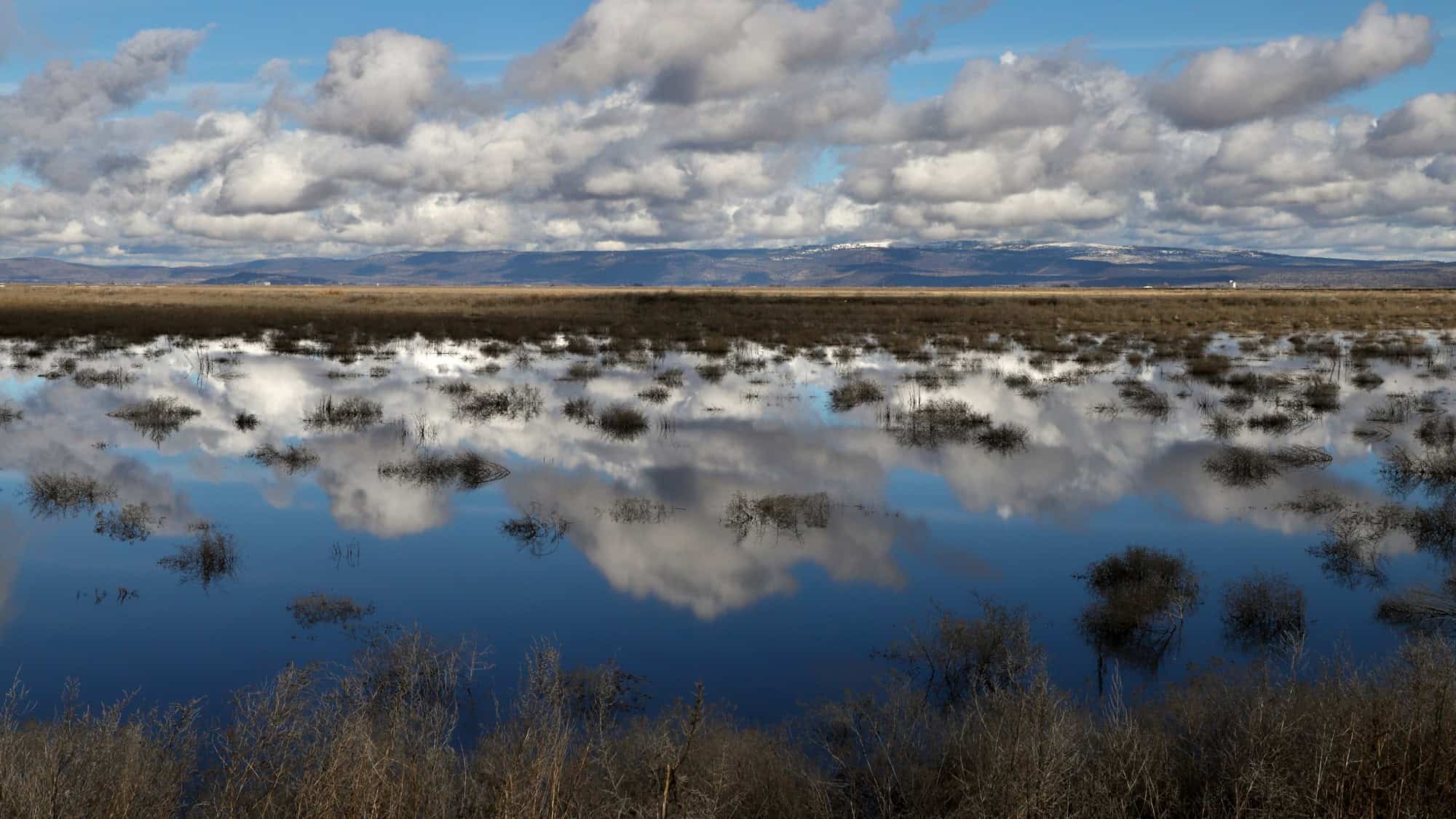 Puffy clouds reflect perfectly in the calm, shallow waters of Tule Lake National Wildlife Refuge, dotted with dry brush and framed by distant mountain ranges.