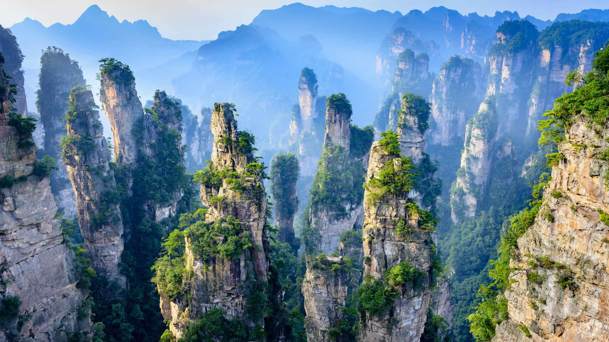 Towering sandstone pillars covered in lush greenery rising dramatically through misty mountains at Wulingyuan Scenic Area in China.