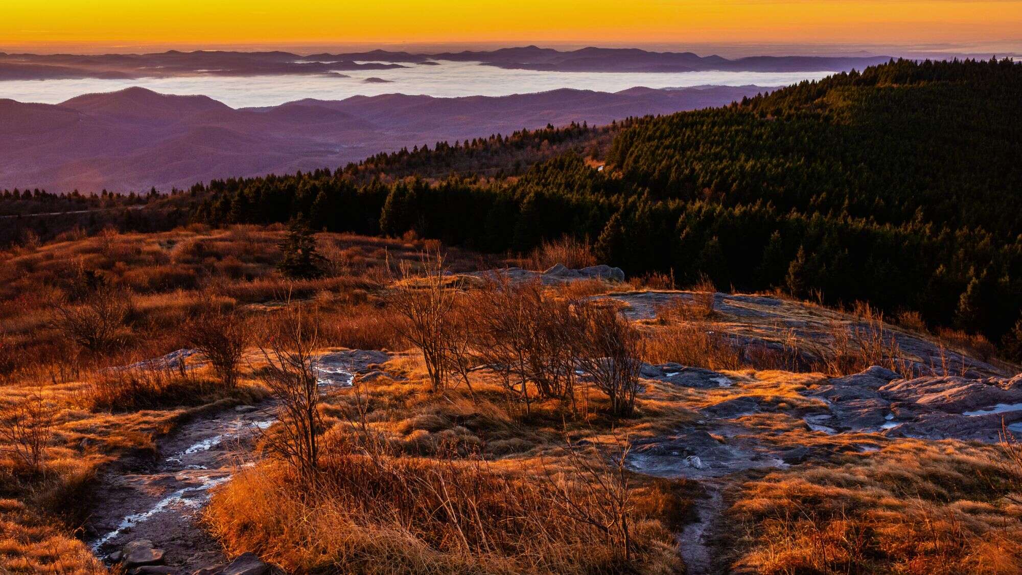 A glowing sunrise spills over the rolling Blue Ridge Mountains, casting warm orange and gold hues across the rocky and grassy trail in the foreground, with layers of mist nestled in the valleys below.