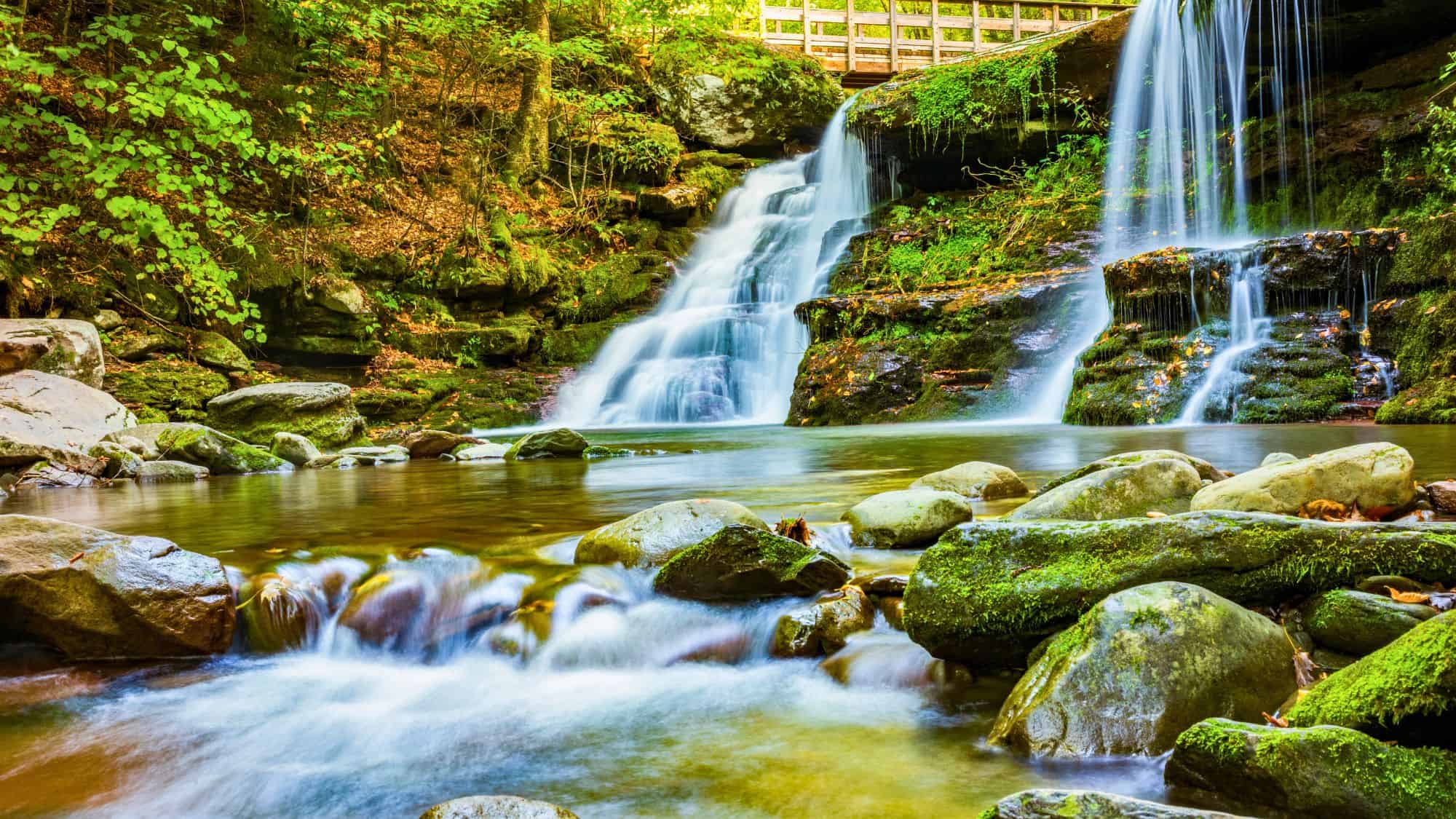 A serene woodland waterfall cascades over moss-covered rocks into a clear stream, with early autumn leaves scattered around and a wooden bridge visible at the top of the falls.