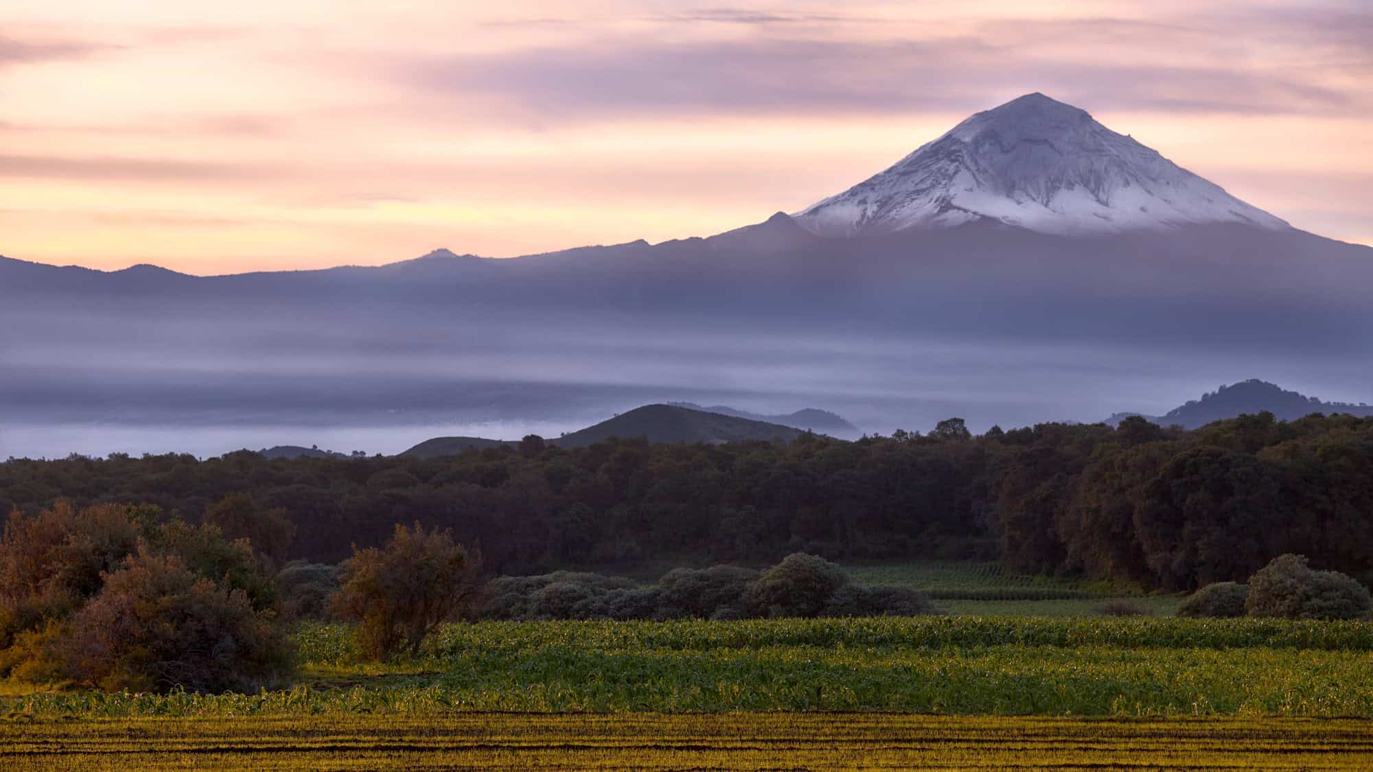 The stratovolcano Popocatépetl stands majestically in the morning mist, its snowy peak emerging above layers of clouds and forested slopes in central Mexico.
