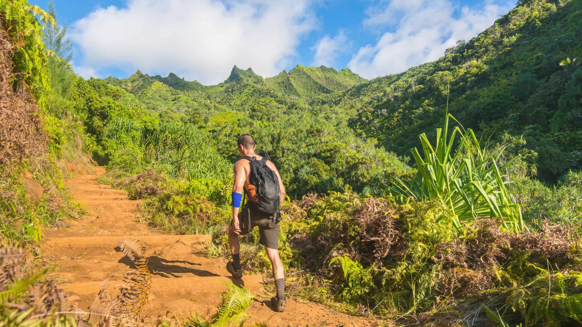 A solo hiker with a backpack ascends a dirt trail through dense, vibrant green tropical vegetation in a mountainous Hawaiian landscape.
