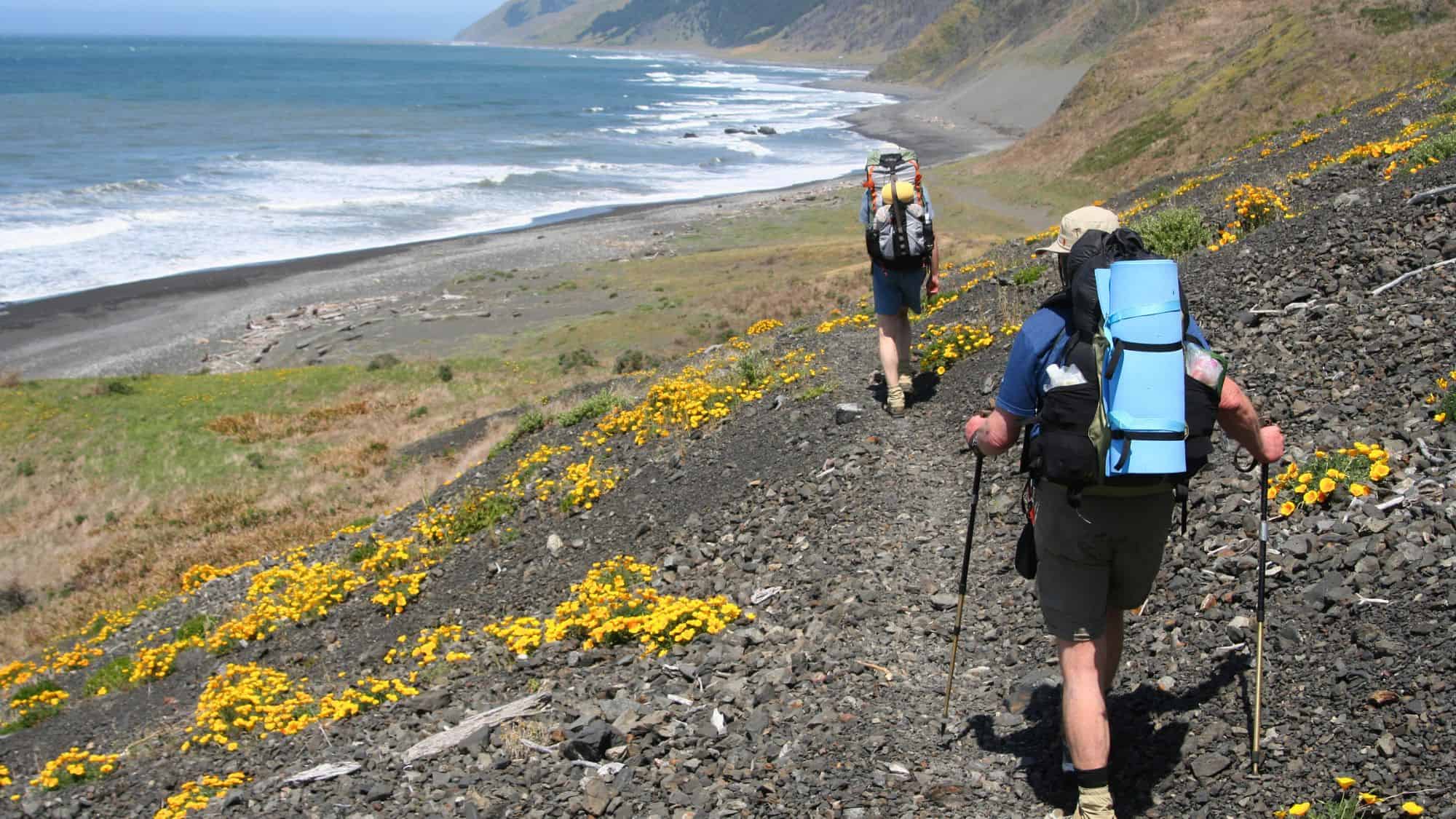 Two backpackers hike along a rugged coastal trail lined with bright yellow wildflowers, overlooking a remote black sand beach and crashing Pacific waves.