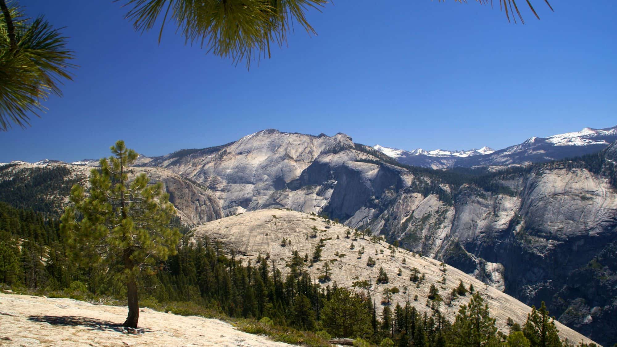 Expansive views from North Dome Trail show domes of weathered granite rising above dense forests, under a deep blue sky with snowy peaks in the distance.