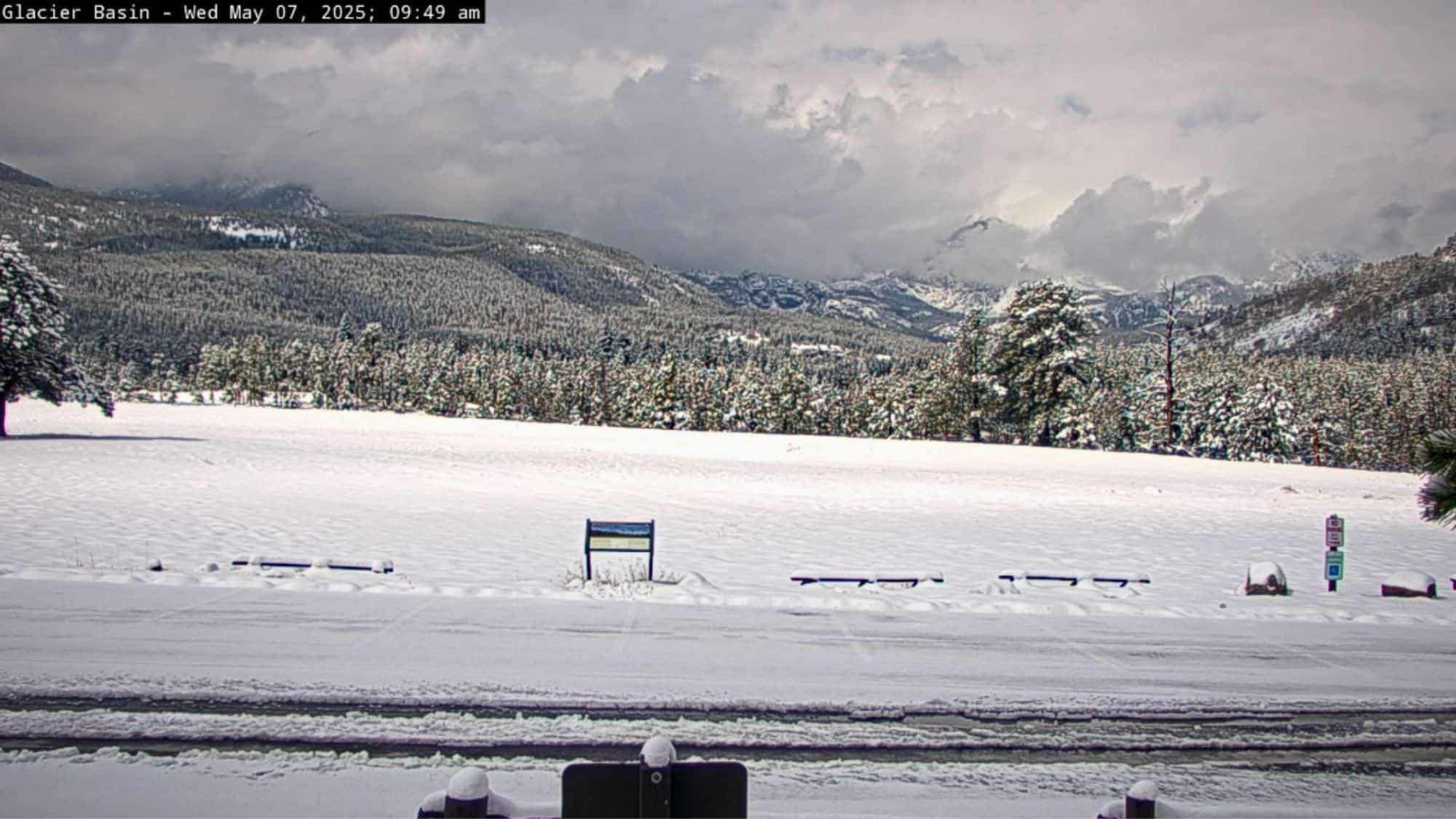 A snowy meadow at Glacier Basin stretches toward a dense evergreen forest and snowcapped mountains beneath a cloudy, dramatic sky.