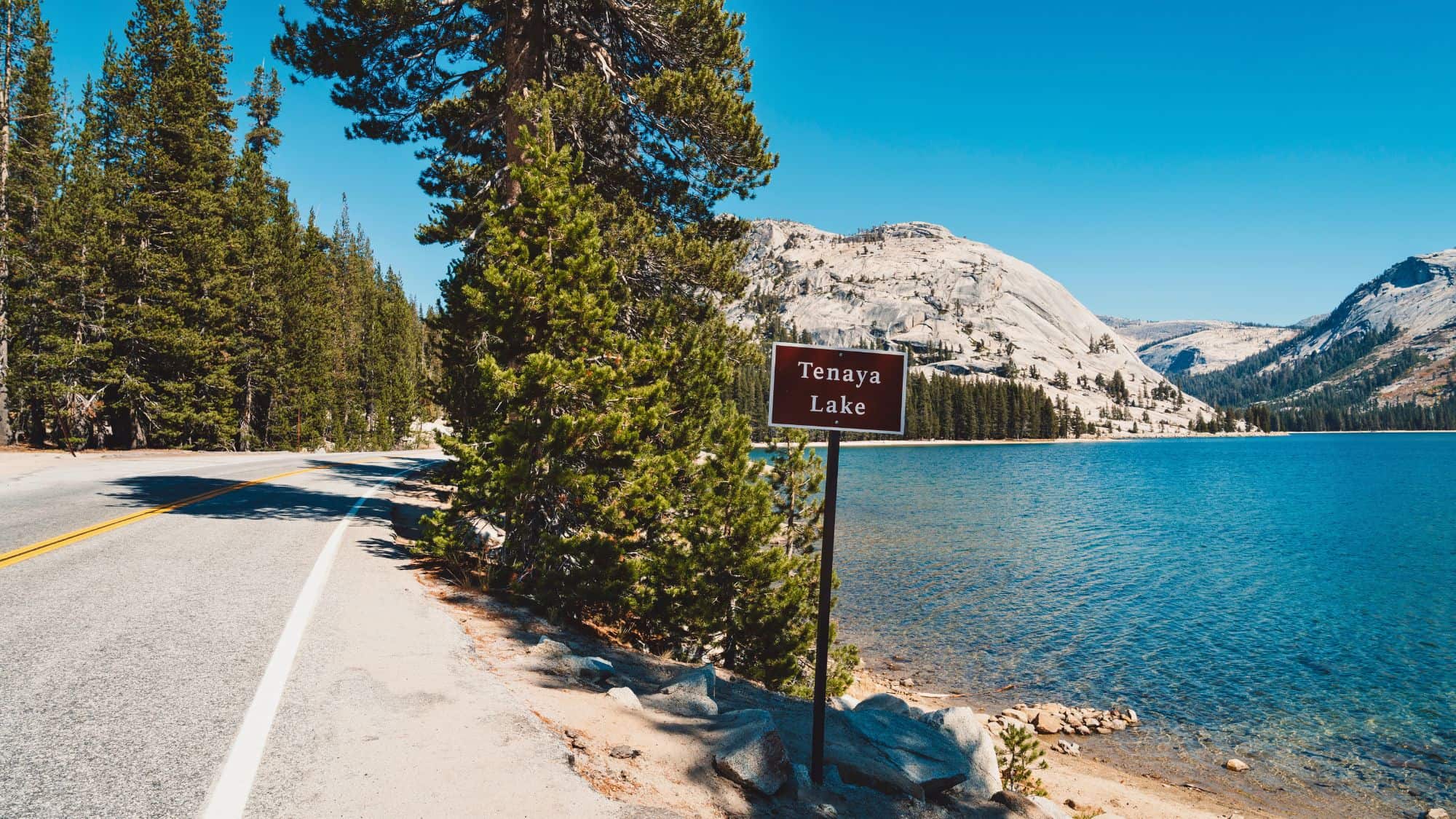 A road curves along the edge of Tenaya Lake, where a simple brown sign marks the spot amid towering pine trees and gleaming granite formations.