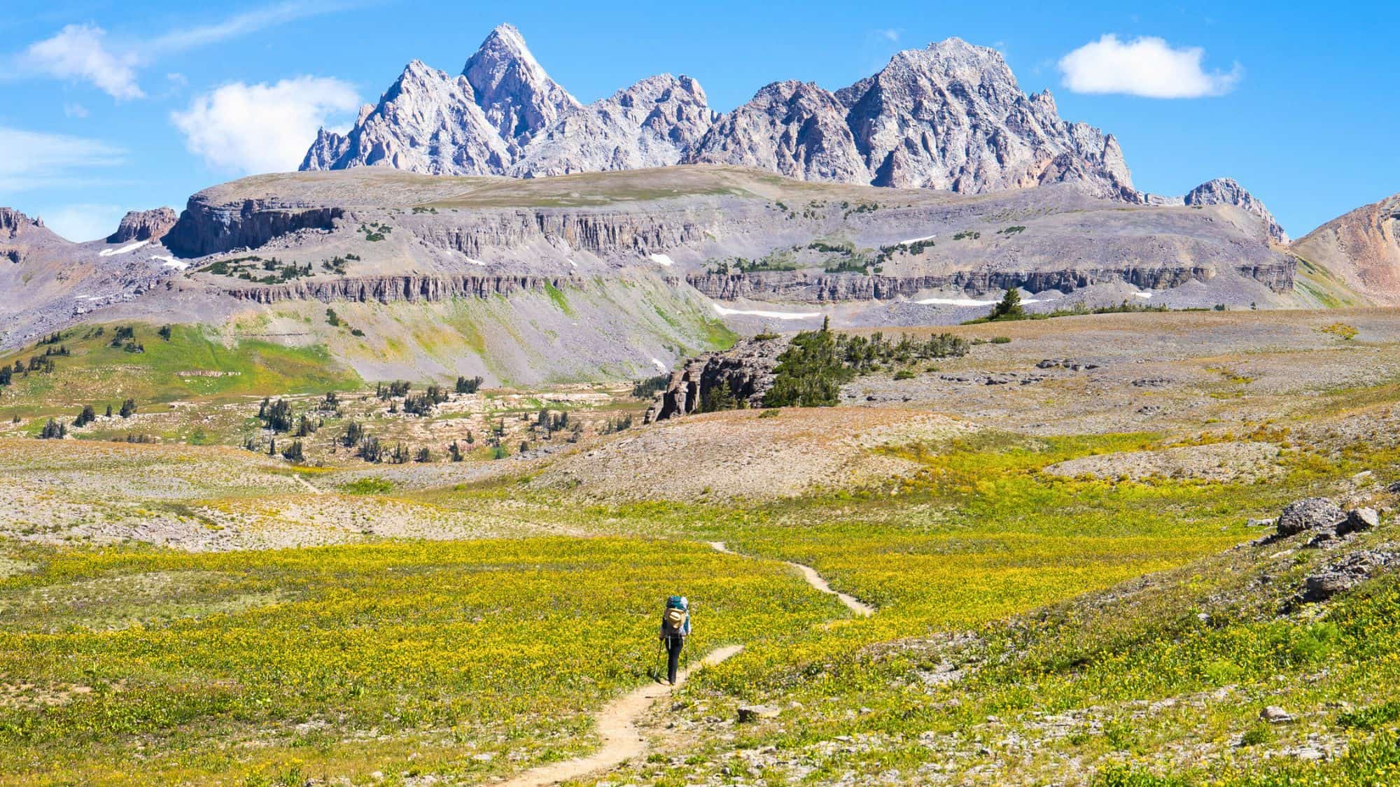 A single hiker walks through an open meadow dotted with yellow wildflowers, heading toward a jagged, snow-dusted mountain range under a clear sky.