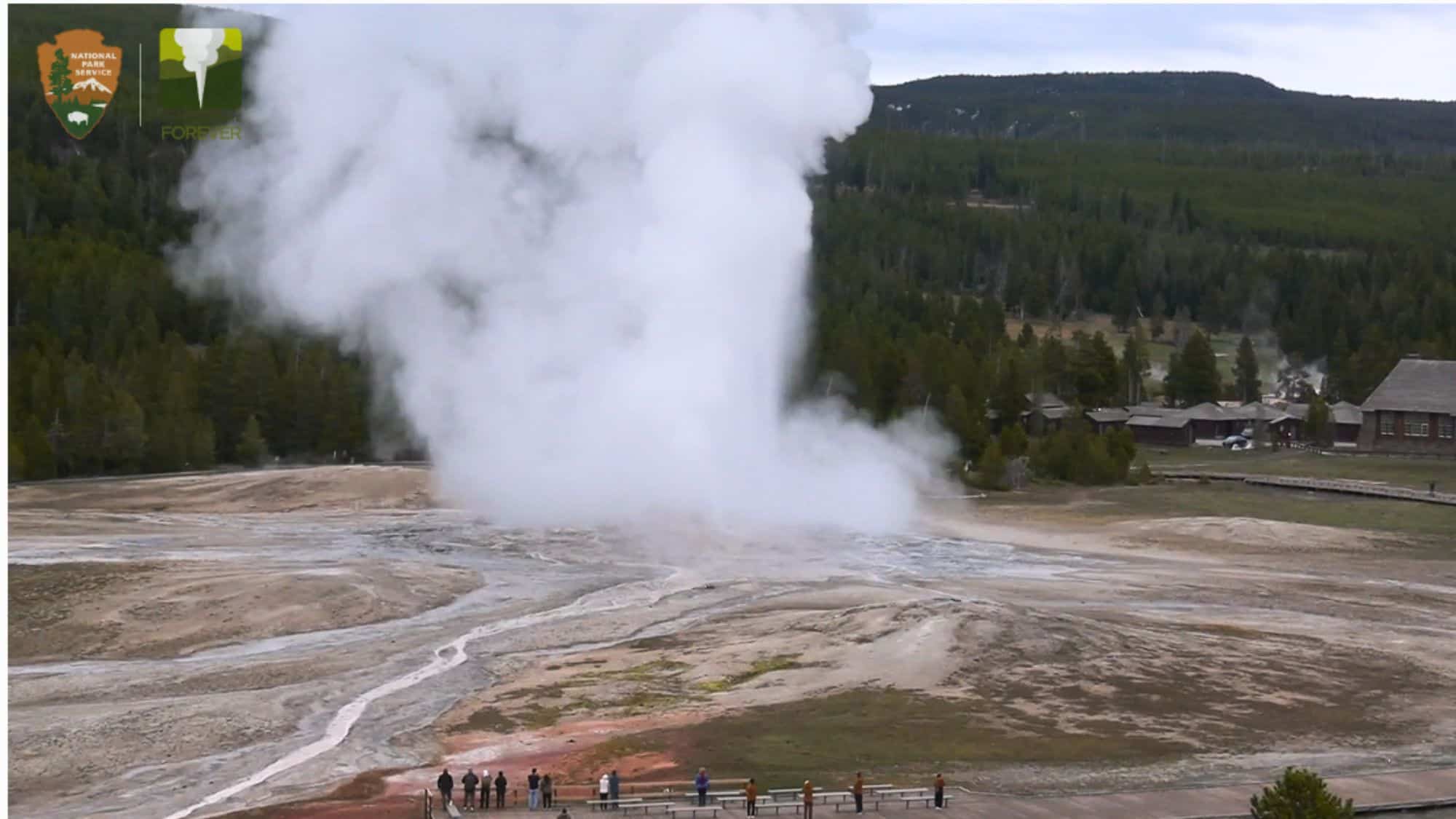 The Old Faithful geyser shoots a massive plume of steam and water into the air, watched by a group of people, with a forest and rustic buildings in the background.