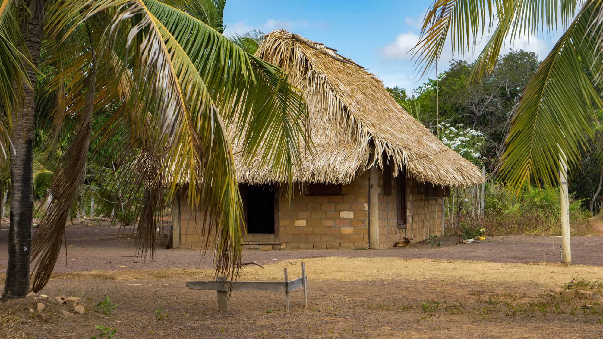 A traditional structure in Guyana with a thatched roof and brick walls sits among palm trees and dry earth, offering a quiet glimpse of rural life.
