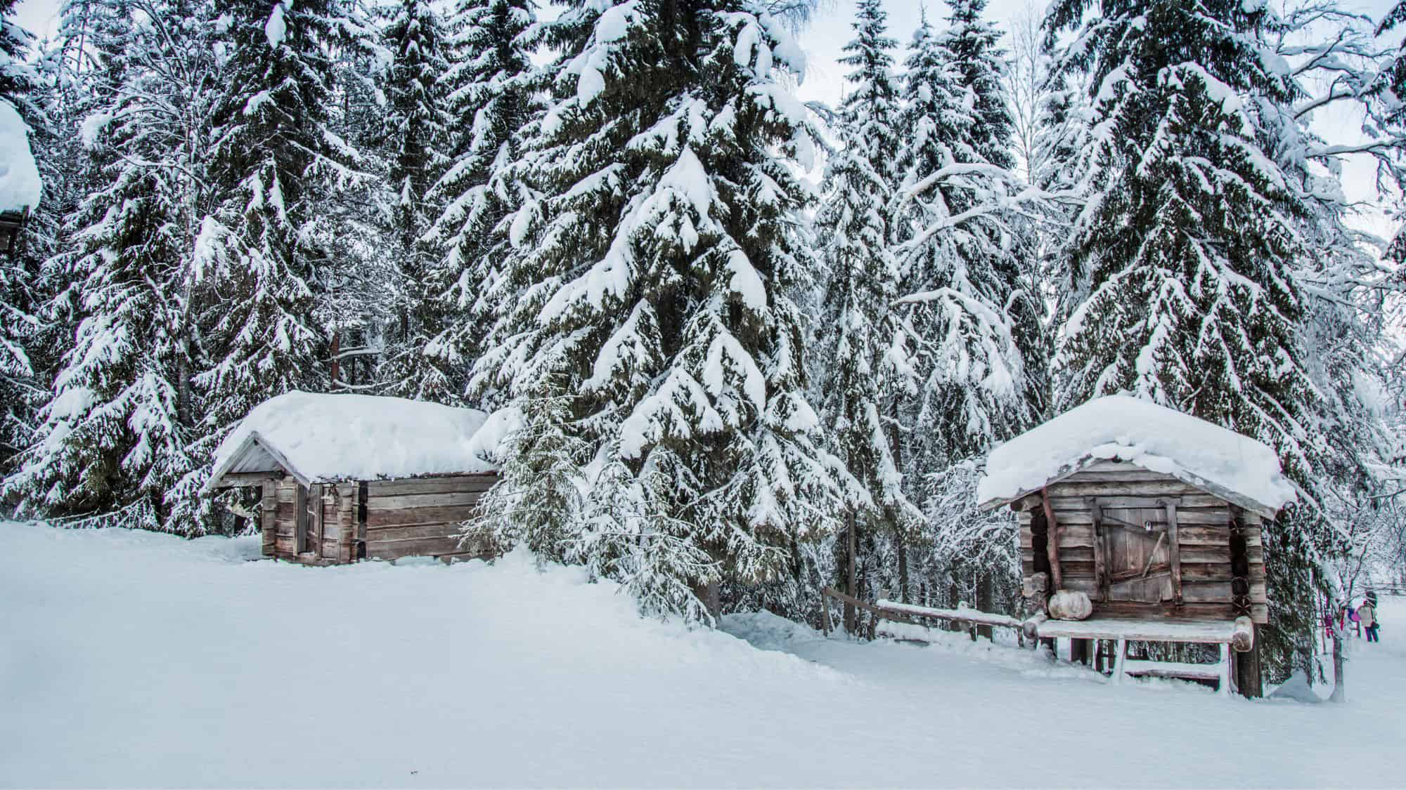 Two small wooden cabins blanketed in thick snow sit among tall pine trees coated in white in a wintry forest landscape in Lapland, Finland.