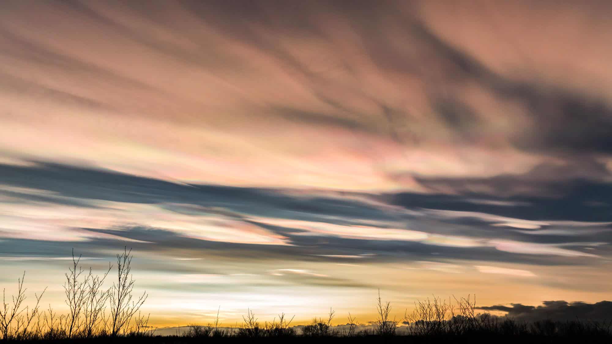 An ethereal sky filled with nacreous clouds, also known as polar stratospheric clouds, glows with swirling pastel hues of pink, lavender, and gold as the sun dips below the horizon. Delicate silhouettes of leafless shrubs create a striking contrast against the dreamy, iridescent display.
