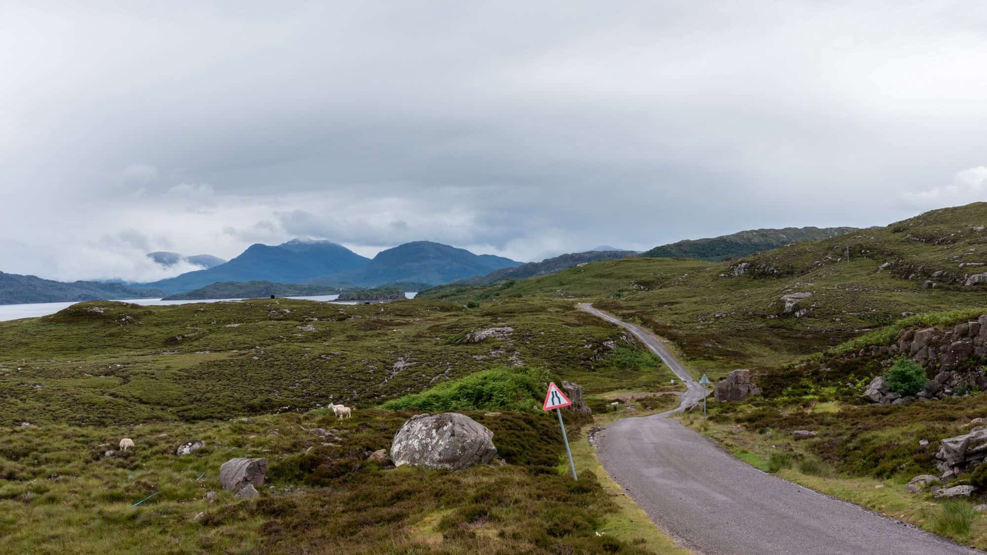 A narrow single-track road winds through the green moorlands of northern Scotland, with scattered rocks, grazing sheep, and misty blue mountains in the background.