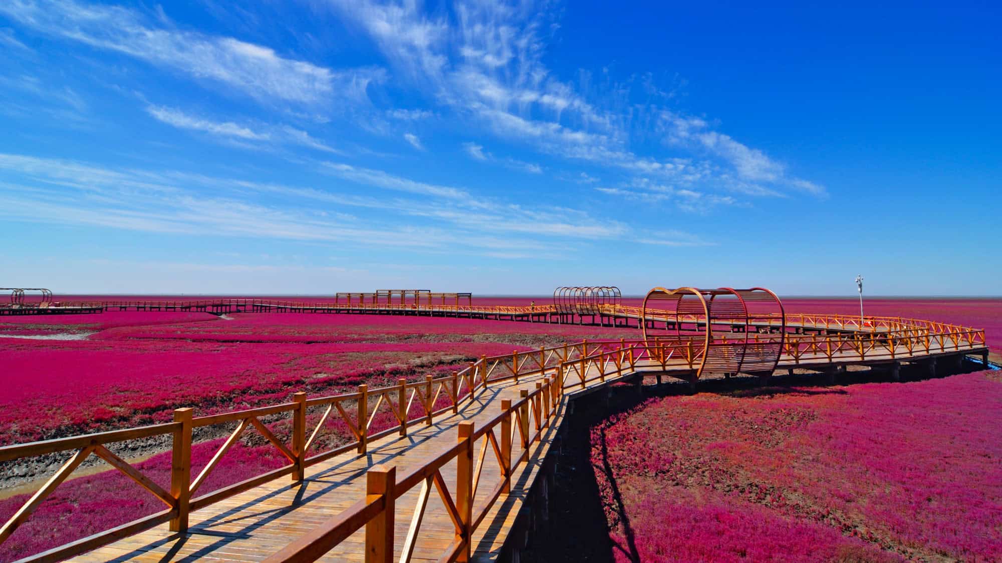 A boardwalk winds through Panjin Red Beach in China, where a sea of crimson seepweed stretches to the horizon under a bright blue sky, making the marshland glow with an otherworldly hue.