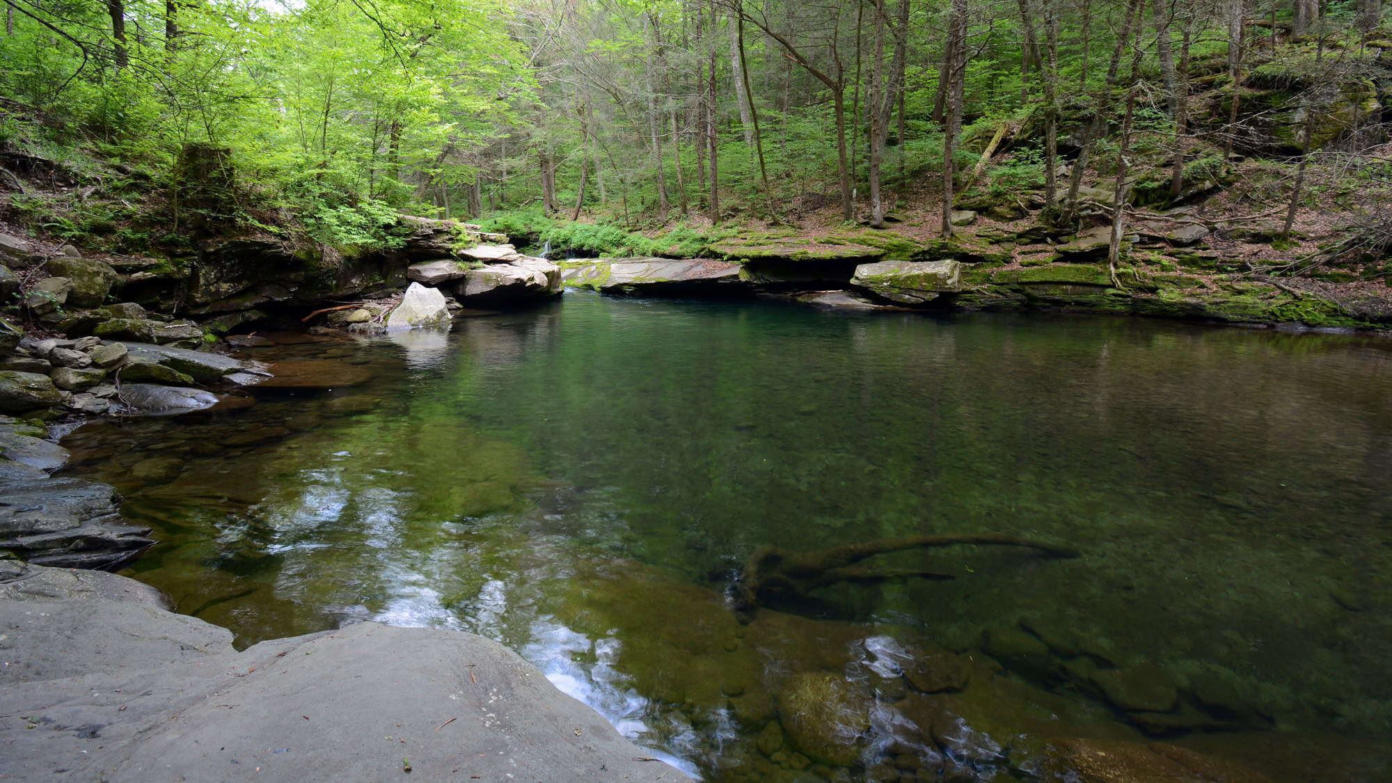 A serene, forested swimming hole with dark, clear water nestled among mossy rocks and shaded by tall trees.
