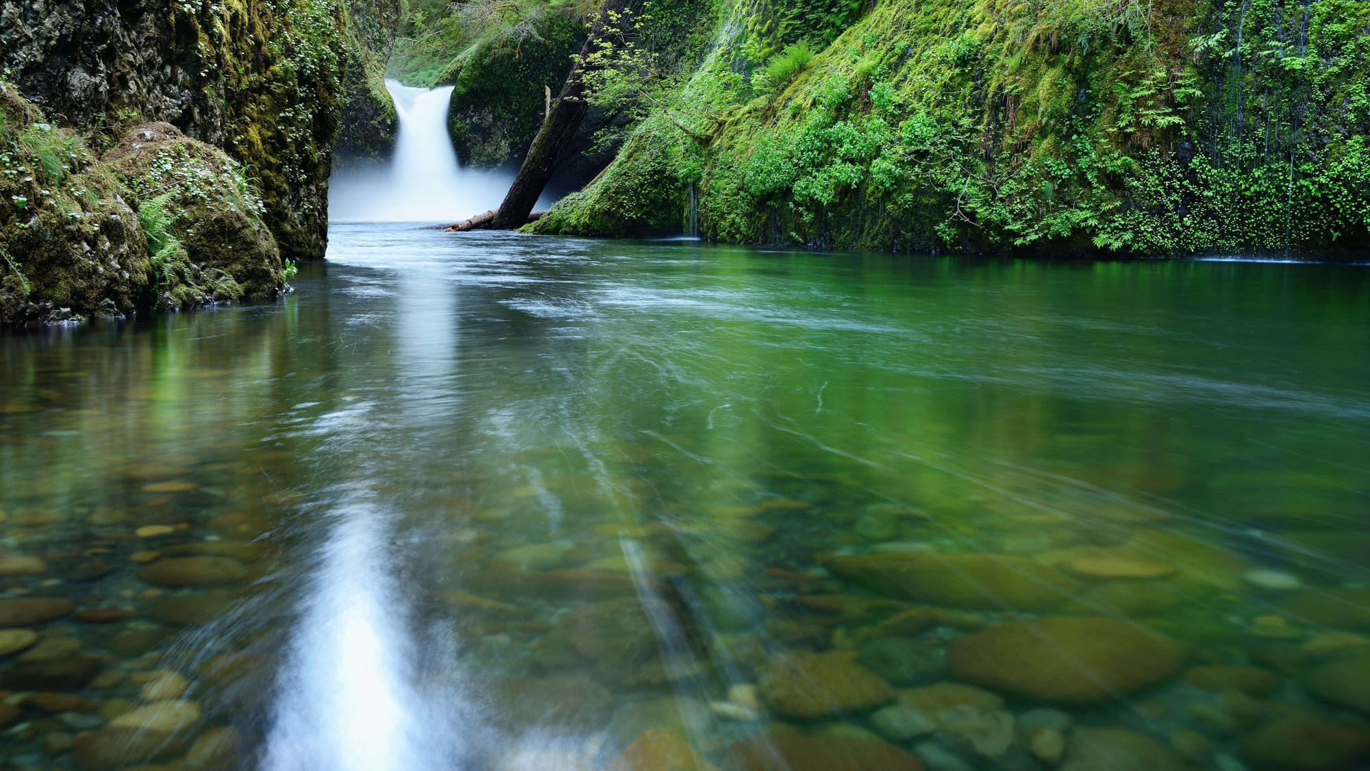 A serene, emerald-green pool leads to Punch Bowl Falls, where water rushes through a narrow gap between moss-covered cliffs into a basin.