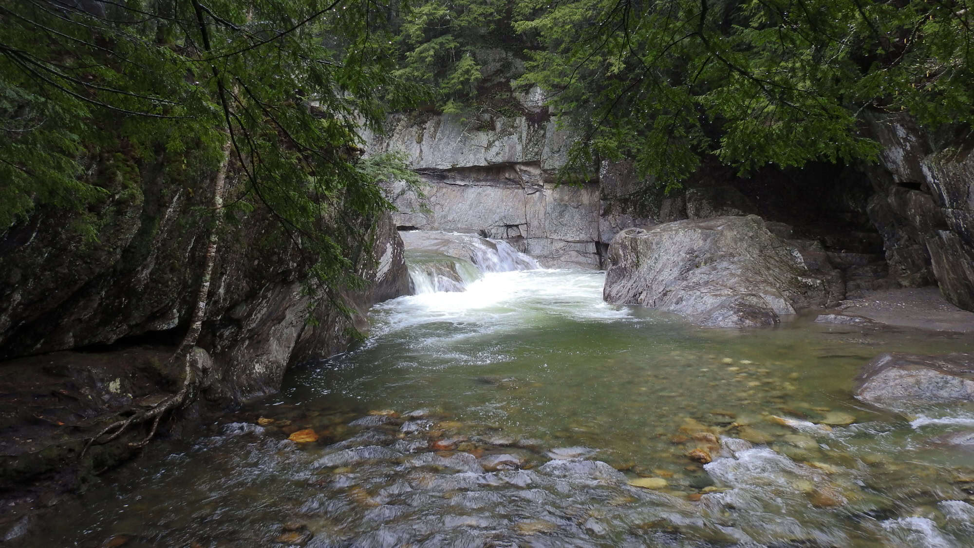 A rocky, forested gorge with clear water flowing into a deep, green pool at Warren Falls, surrounded by moss-covered boulders and trees.