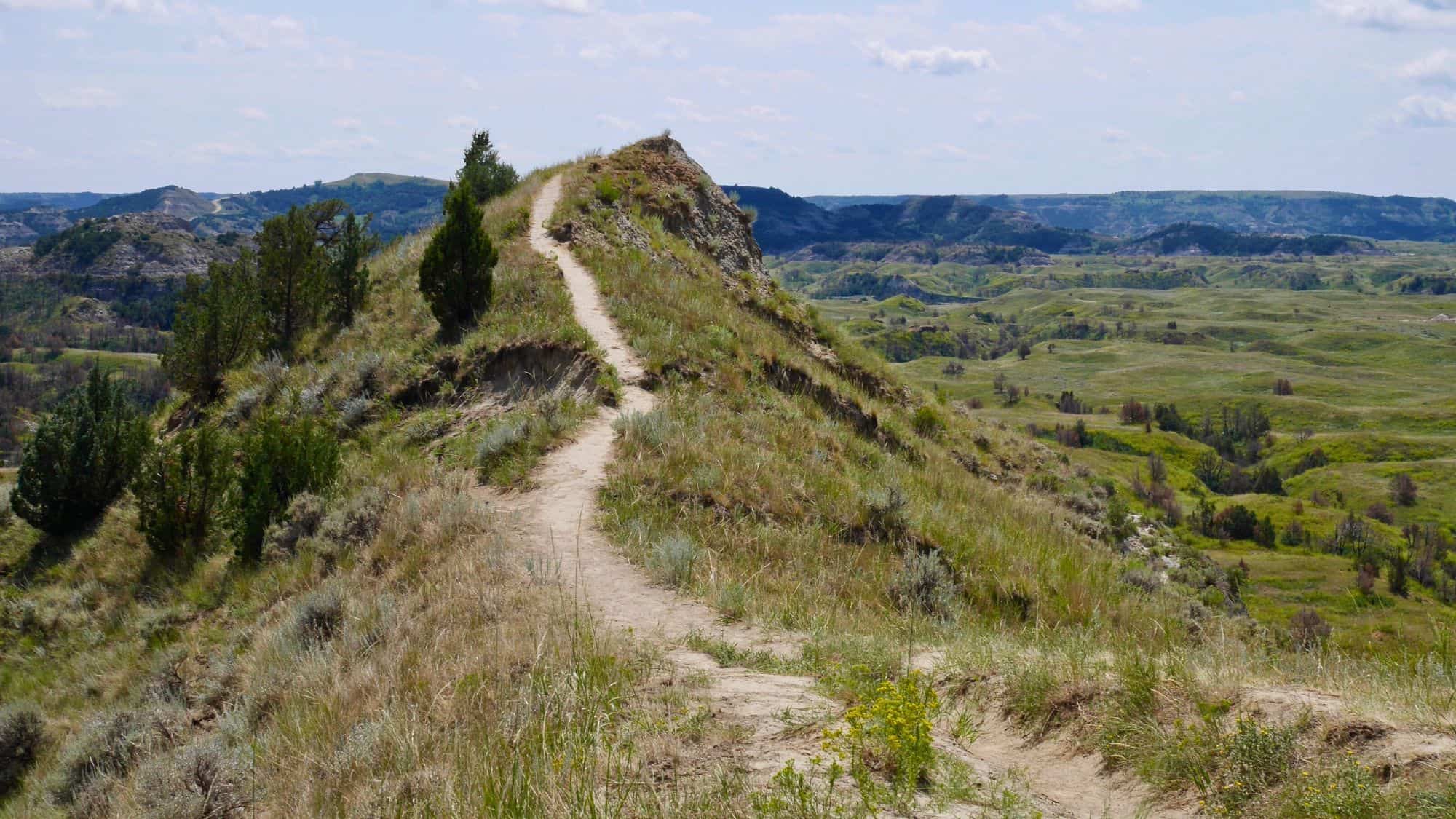 A narrow dirt trail winds along a grassy ridgeline in Theodore Roosevelt National Park, offering panoramic views of the rolling green badlands stretching into the distance.