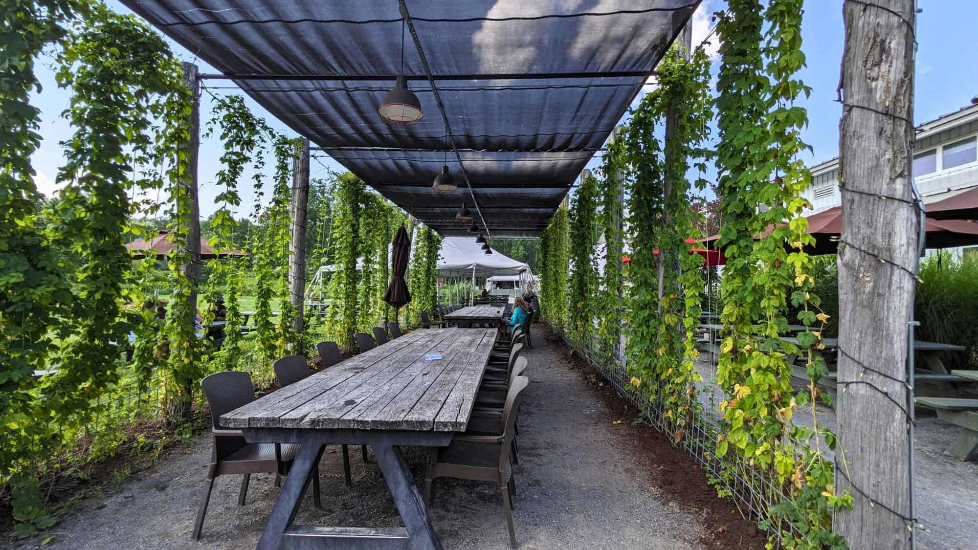 Rustic beer garden with long wooden picnic tables beneath a shaded trellis, surrounded by vertical hop vines creating a lush green corridor.