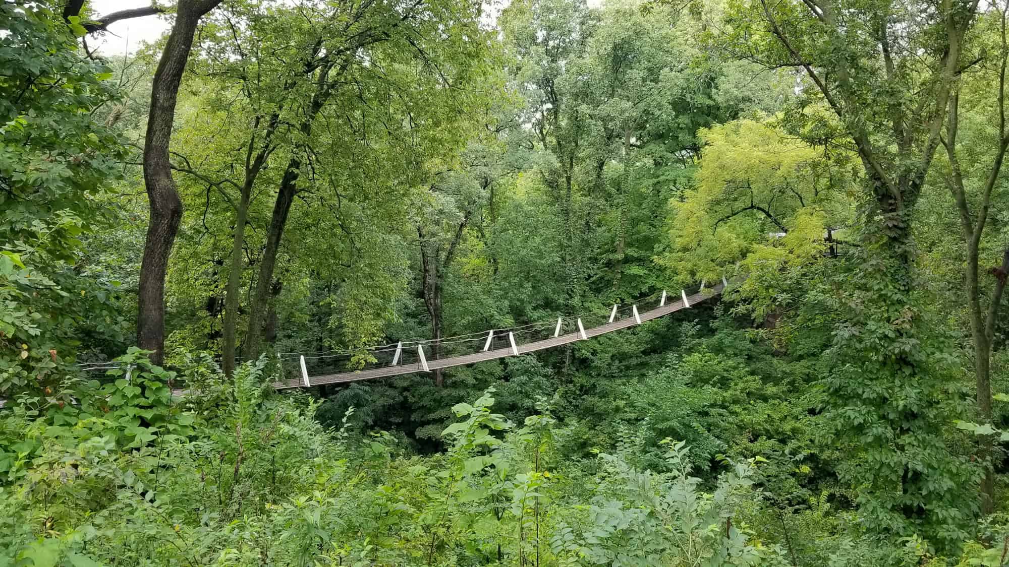 A long, narrow suspension footbridge stretches through dense treetops, its slatted deck and white railings cutting a path above the green foliage below.