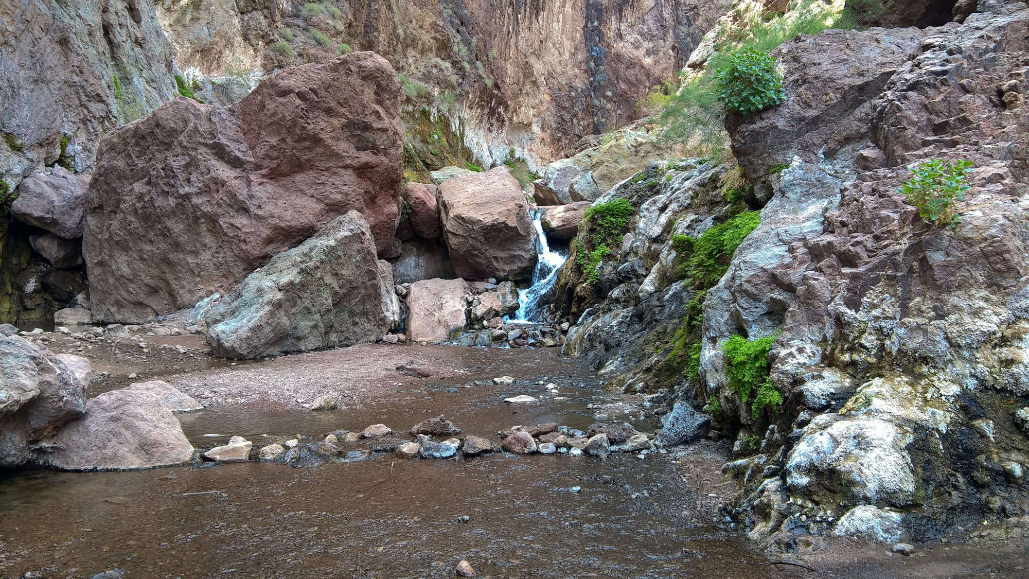 A rocky desert canyon with a small waterfall cascading between boulders. Bright green plants cling to the rocks, adding a splash of color to the otherwise earthy palette.