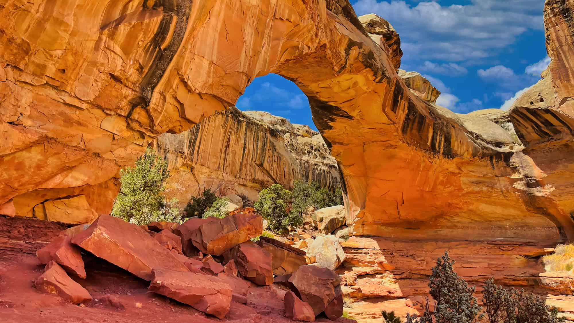 A wide natural sandstone arch frames a view of desert vegetation and layered rock formations. The rich red and orange hues pop against a bright blue sky.
