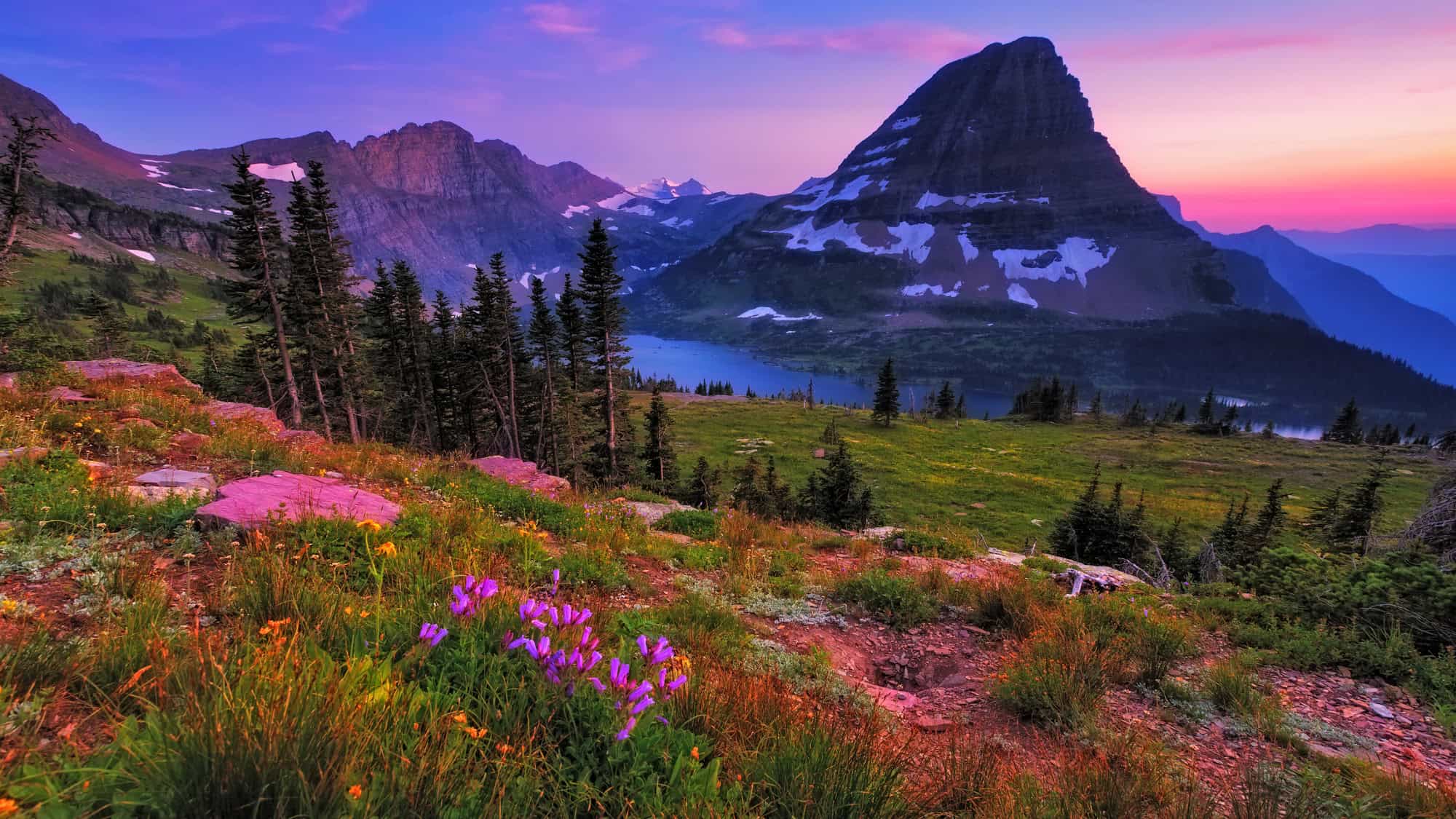 Colorful alpine meadow with wildflowers in the foreground, leading to a lake and sharp mountain peaks glowing at sunset in Glacier National Park.